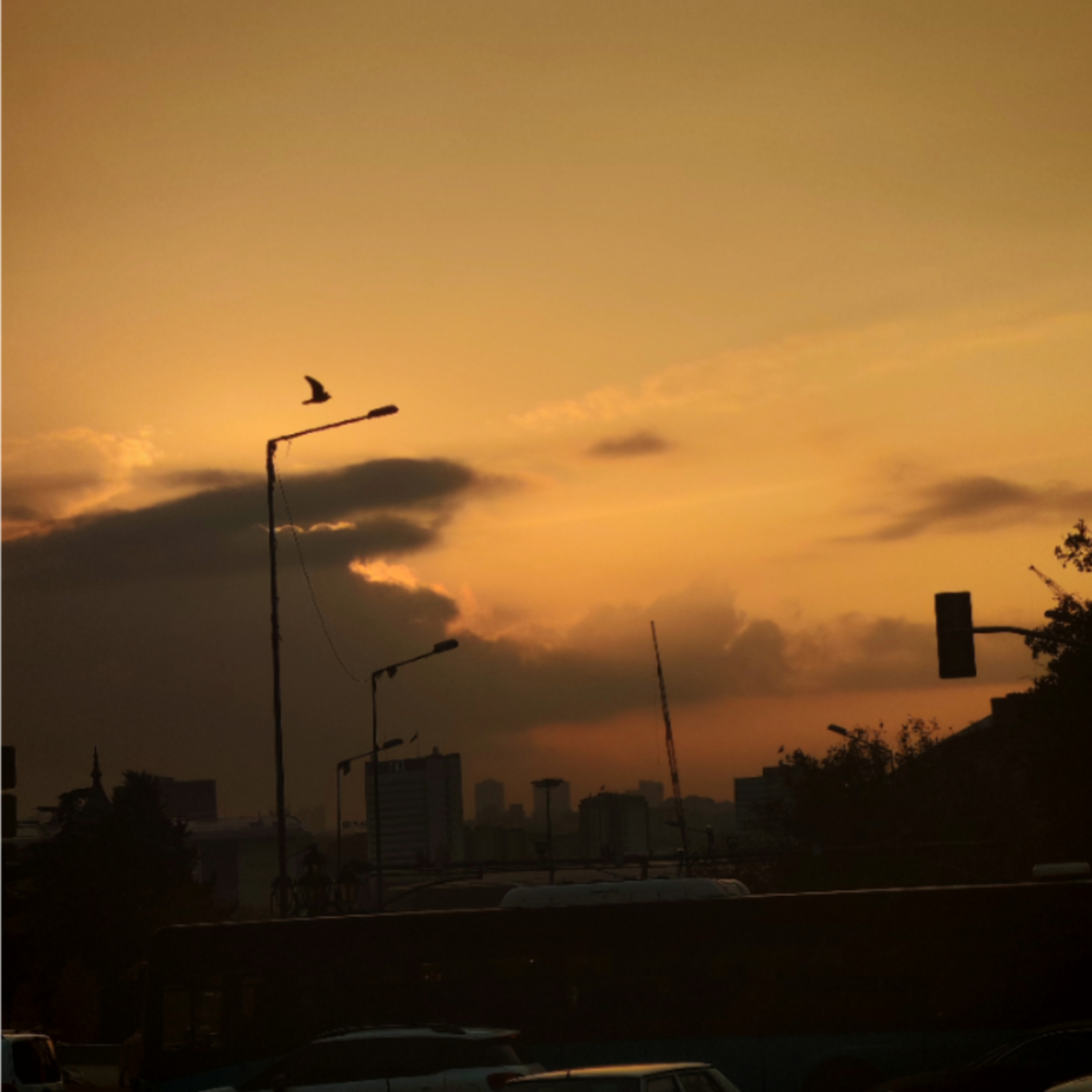 karaçalı - sesindeki haziran  episode artwork