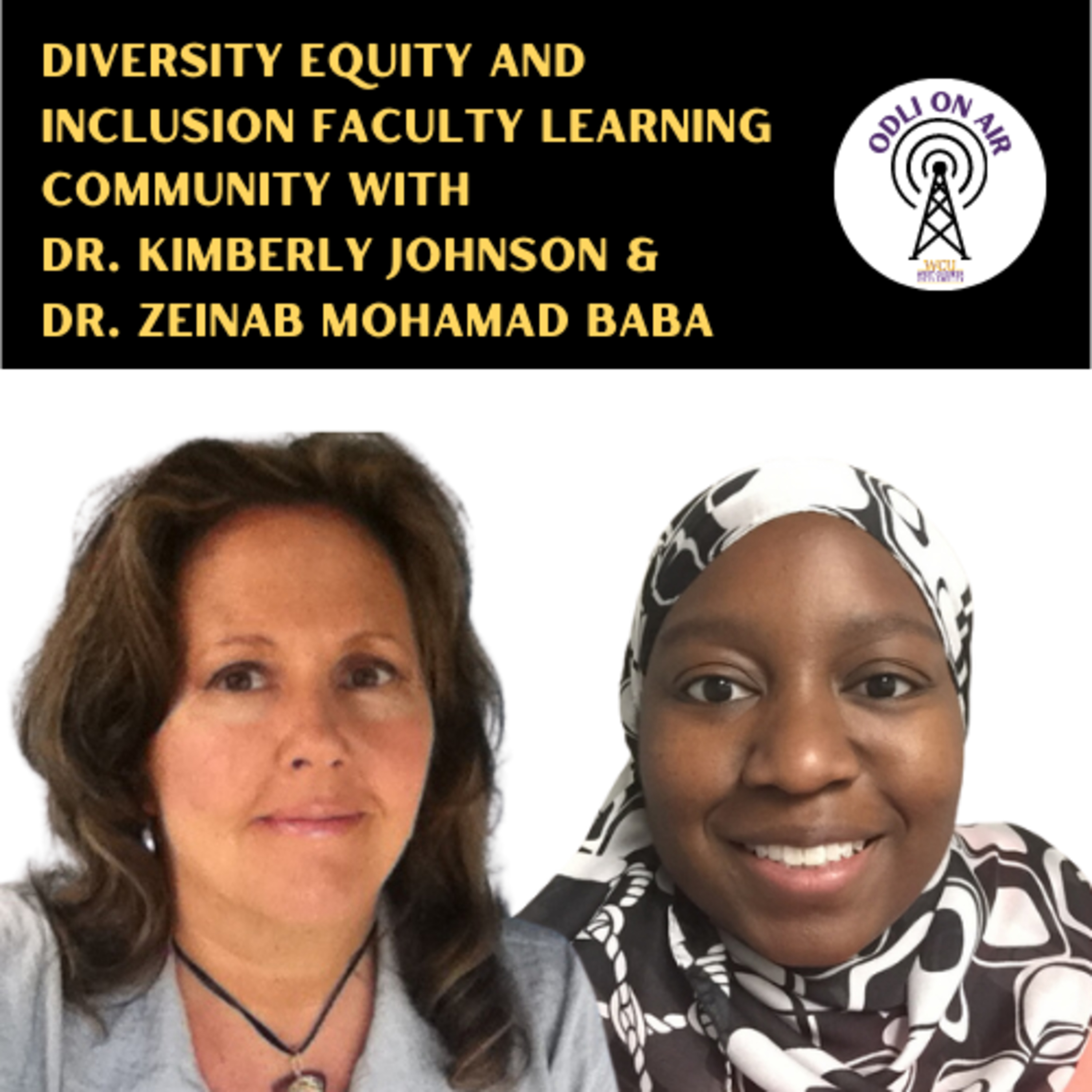 Diversity and Inclusion Faculty Learning Community with Dr. Kimberly Johnson and Dr. Zeinab Baba episode artwork