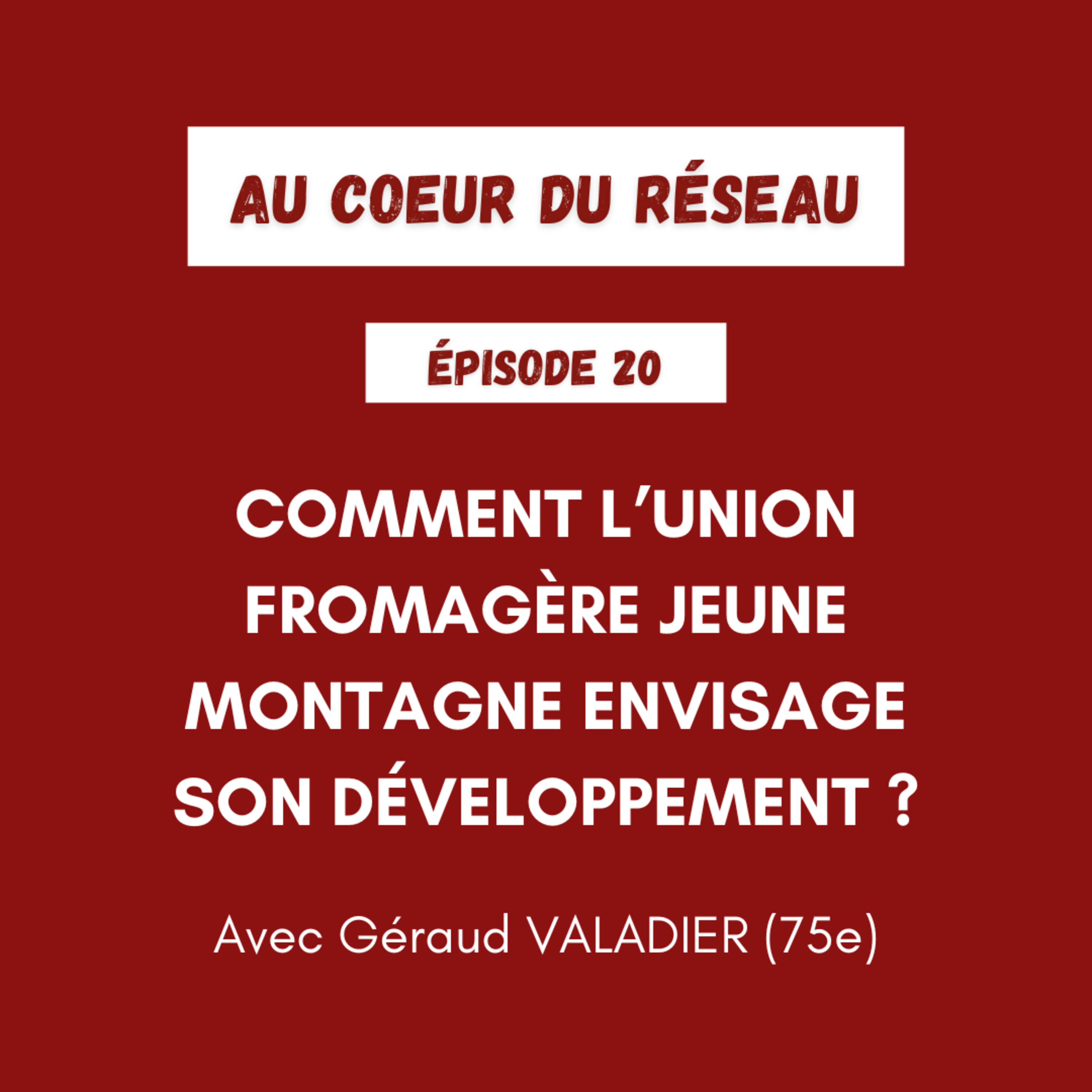Au coeur du réseau