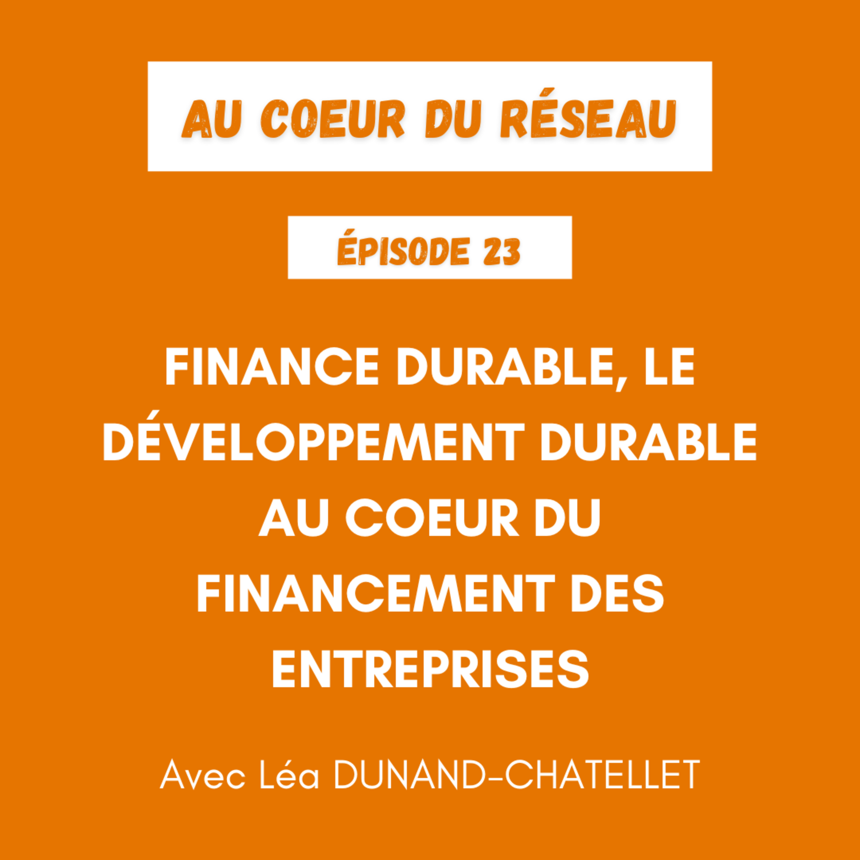 Au coeur du réseau