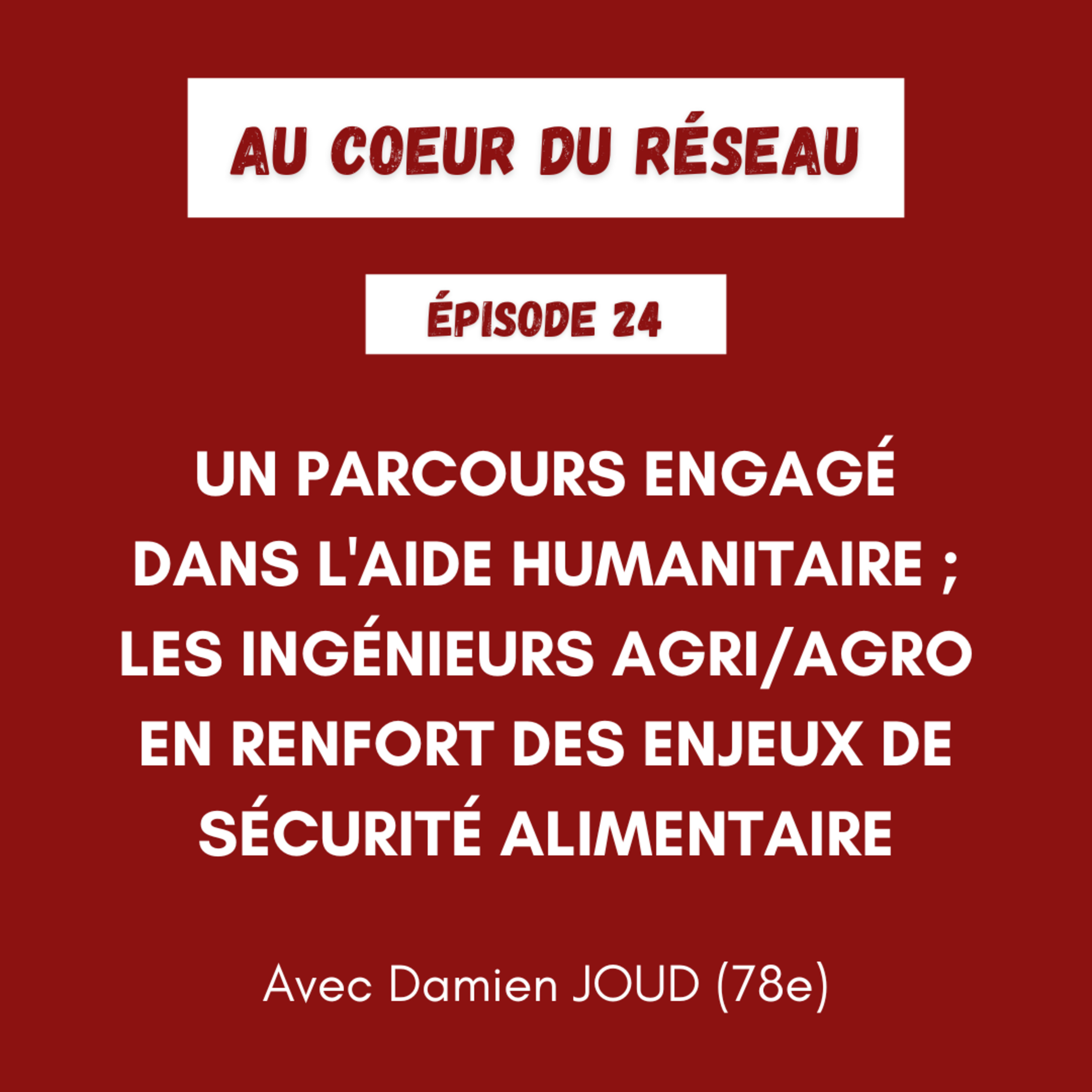 Au coeur du réseau