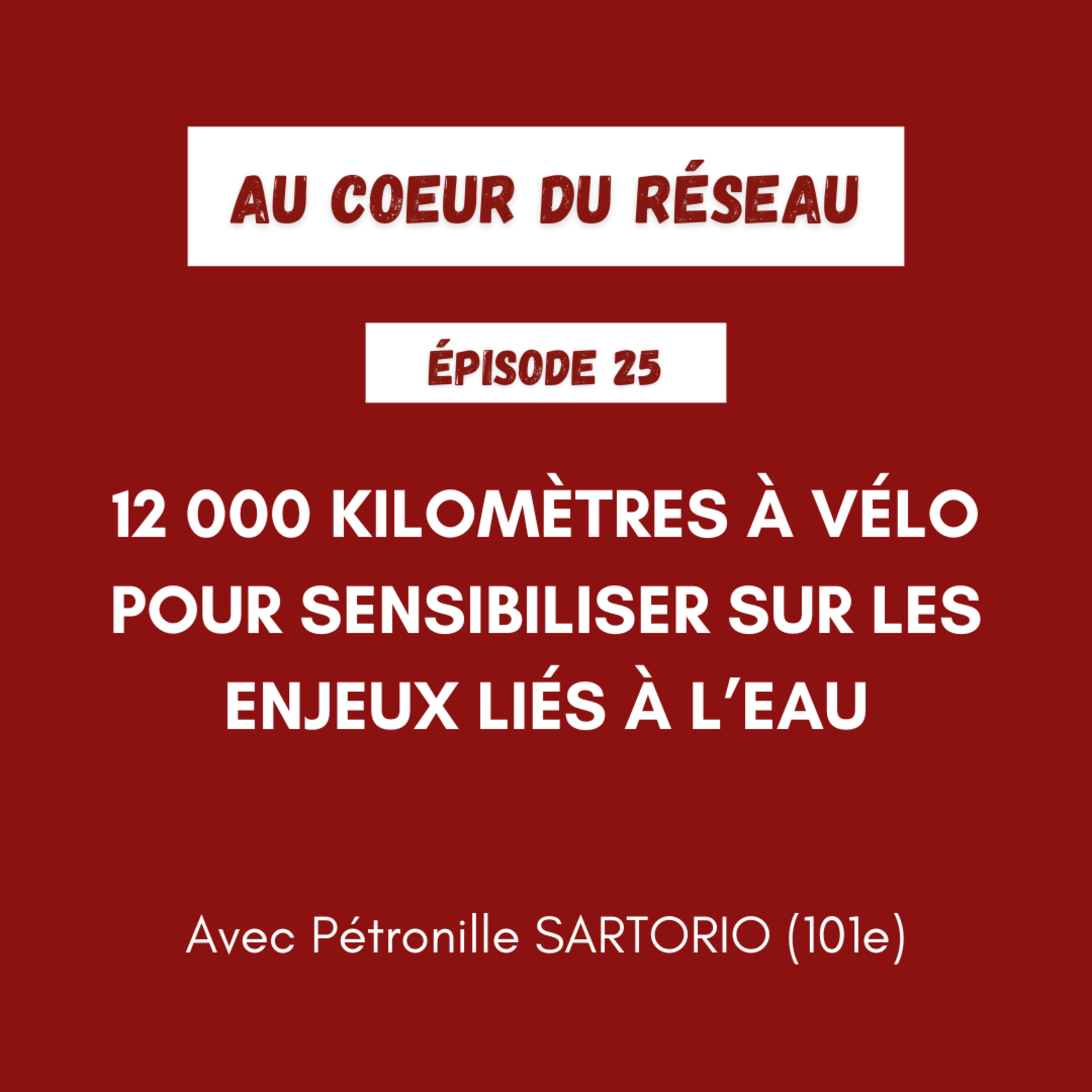 Au coeur du réseau