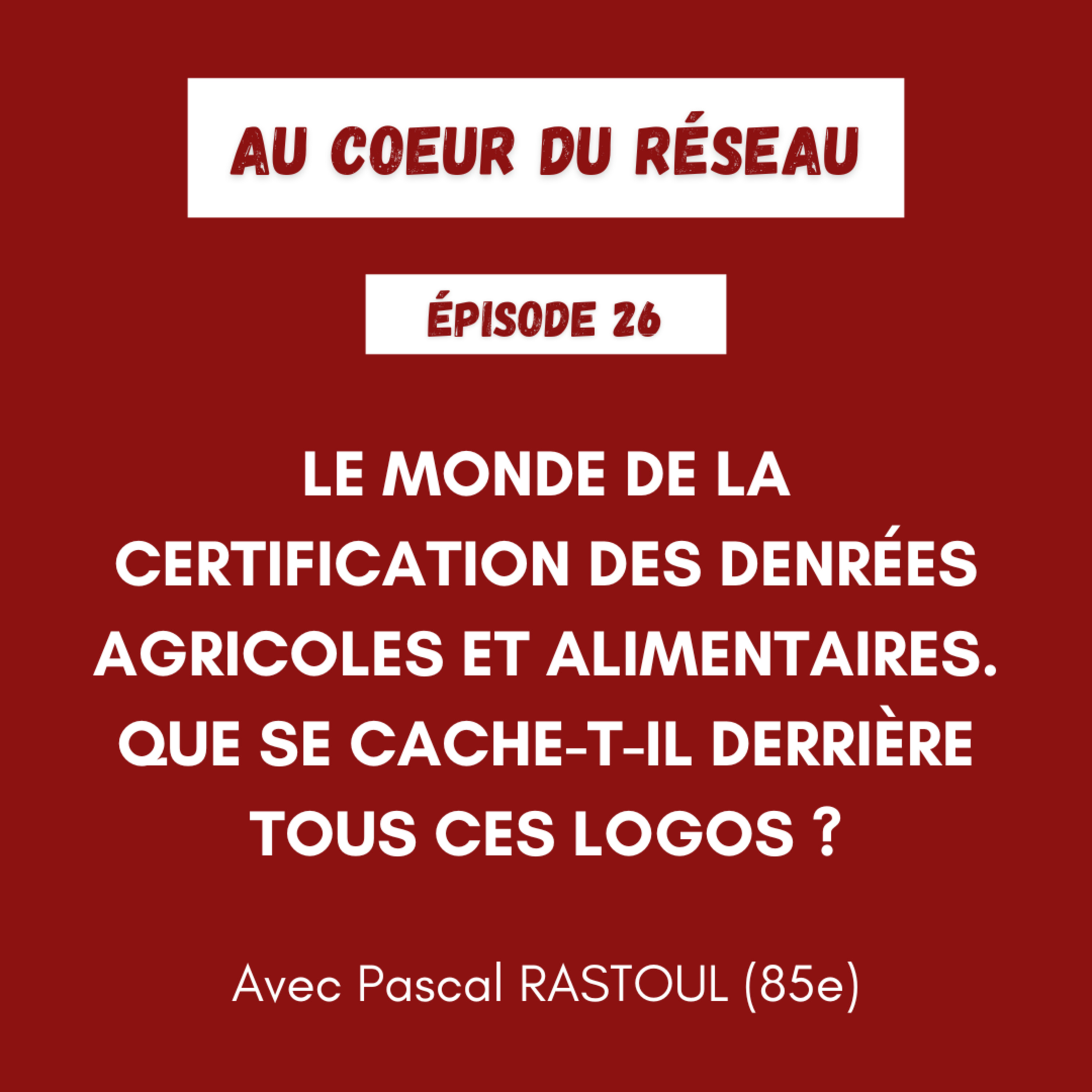 Au coeur du réseau