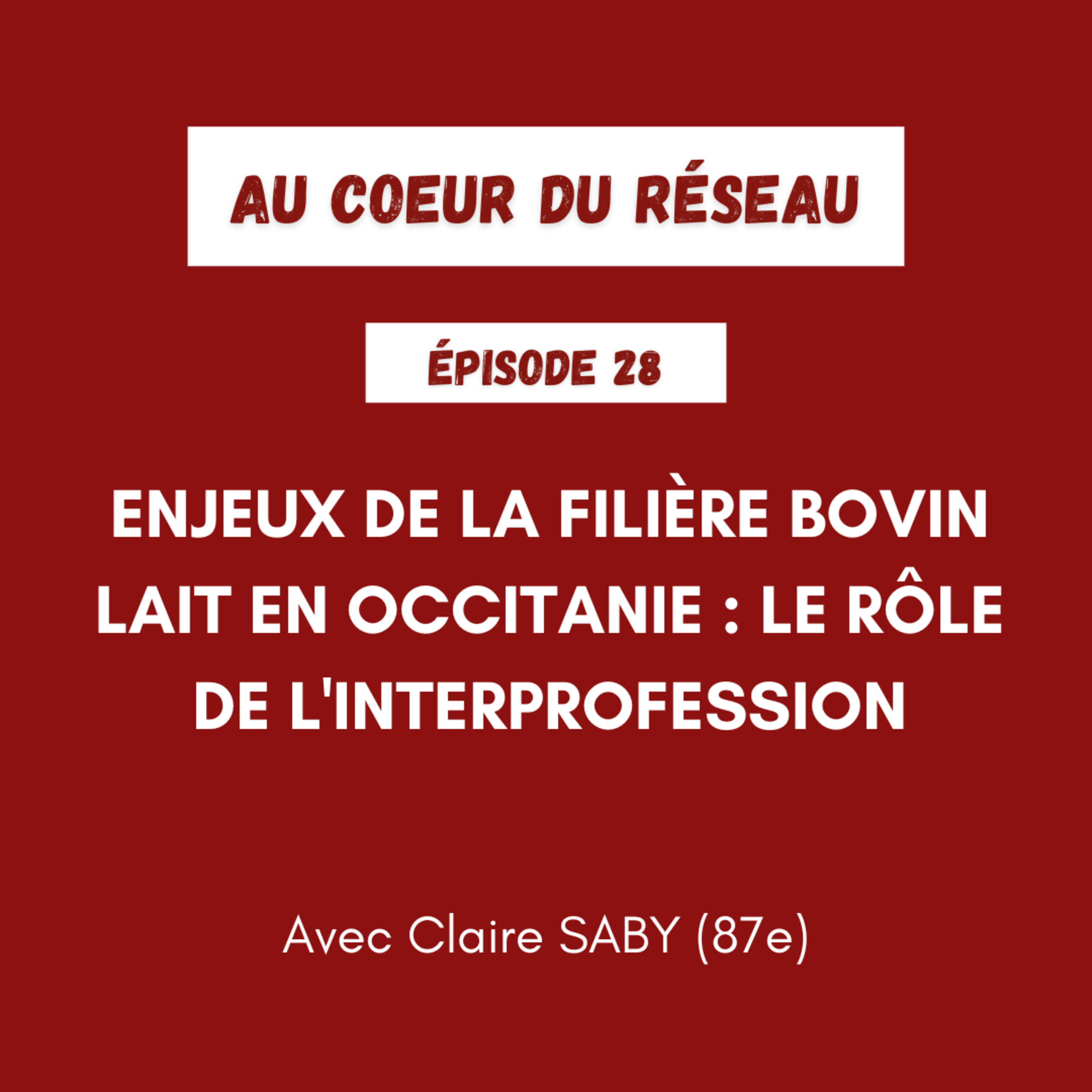 Au coeur du réseau
