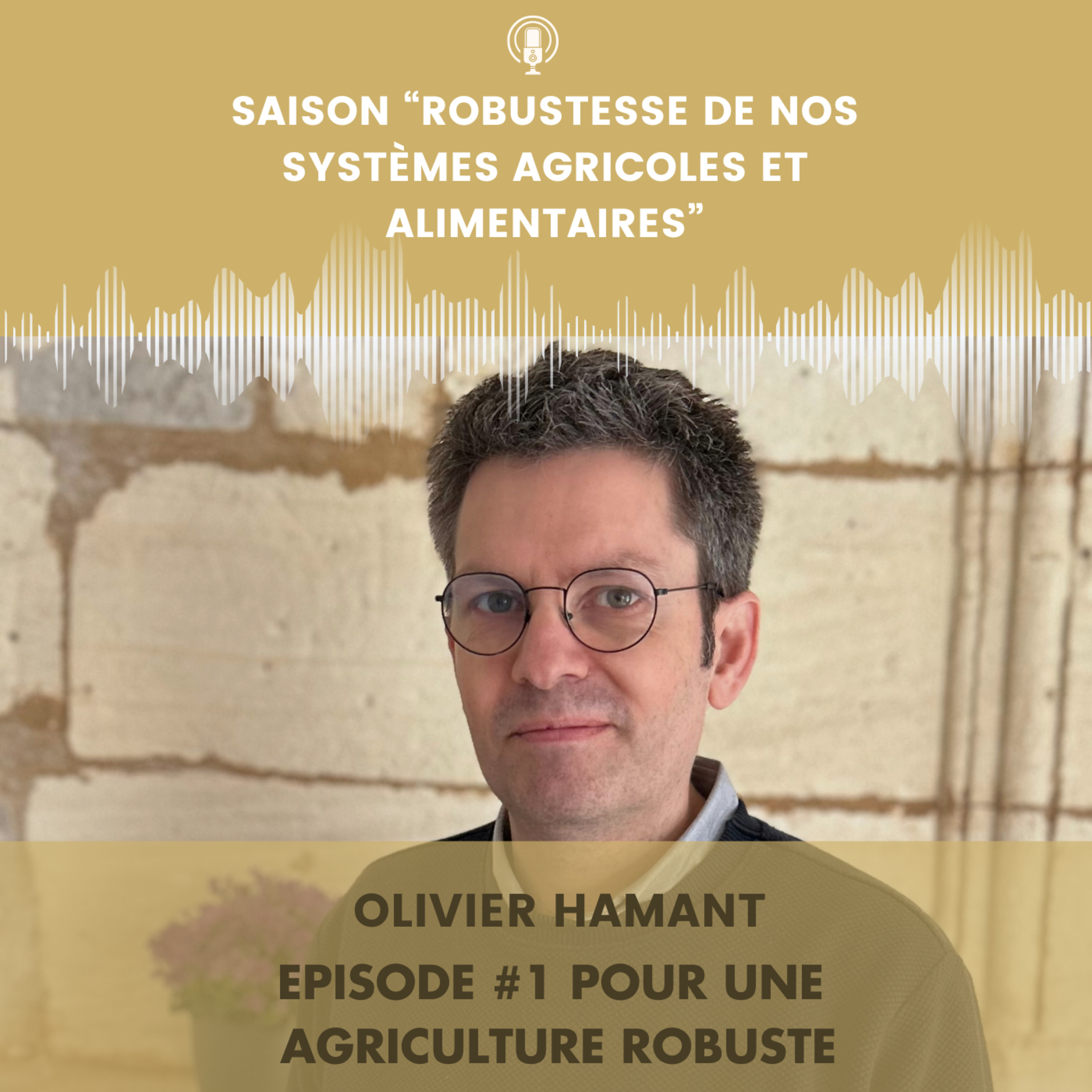Au coeur du réseau