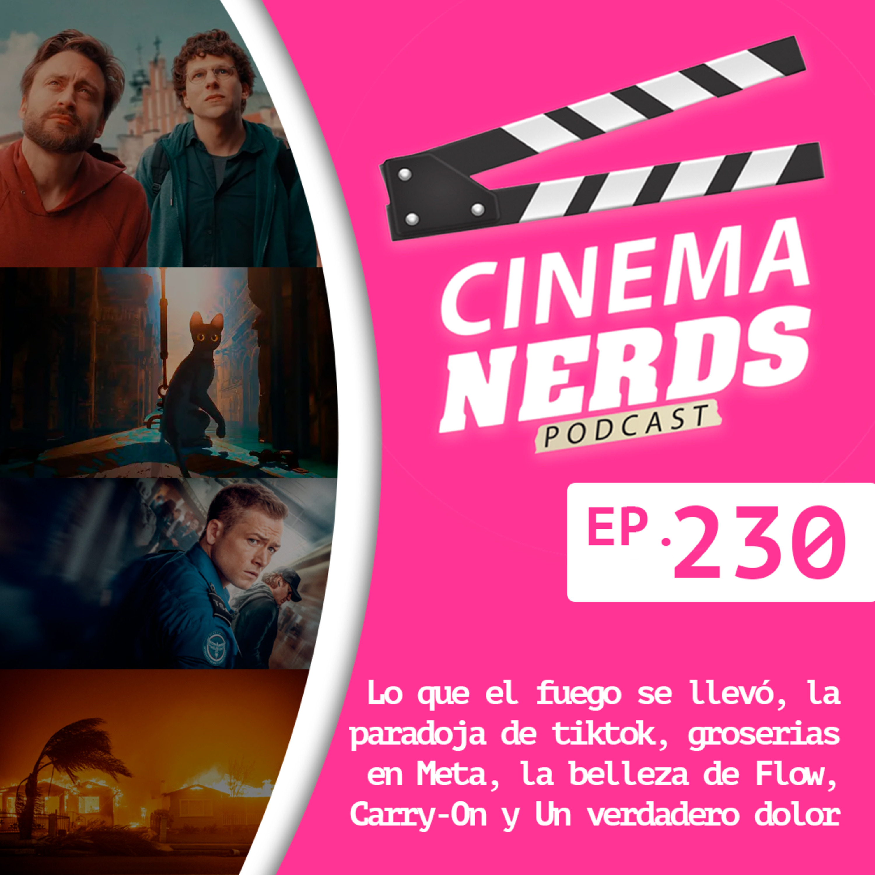 EP. 230 - Lo que el fuego se llevó, la paradoja de tiktok, groserias en Meta, la belleza de Flow, Carry-On y Un verdadero dolor episode artwork