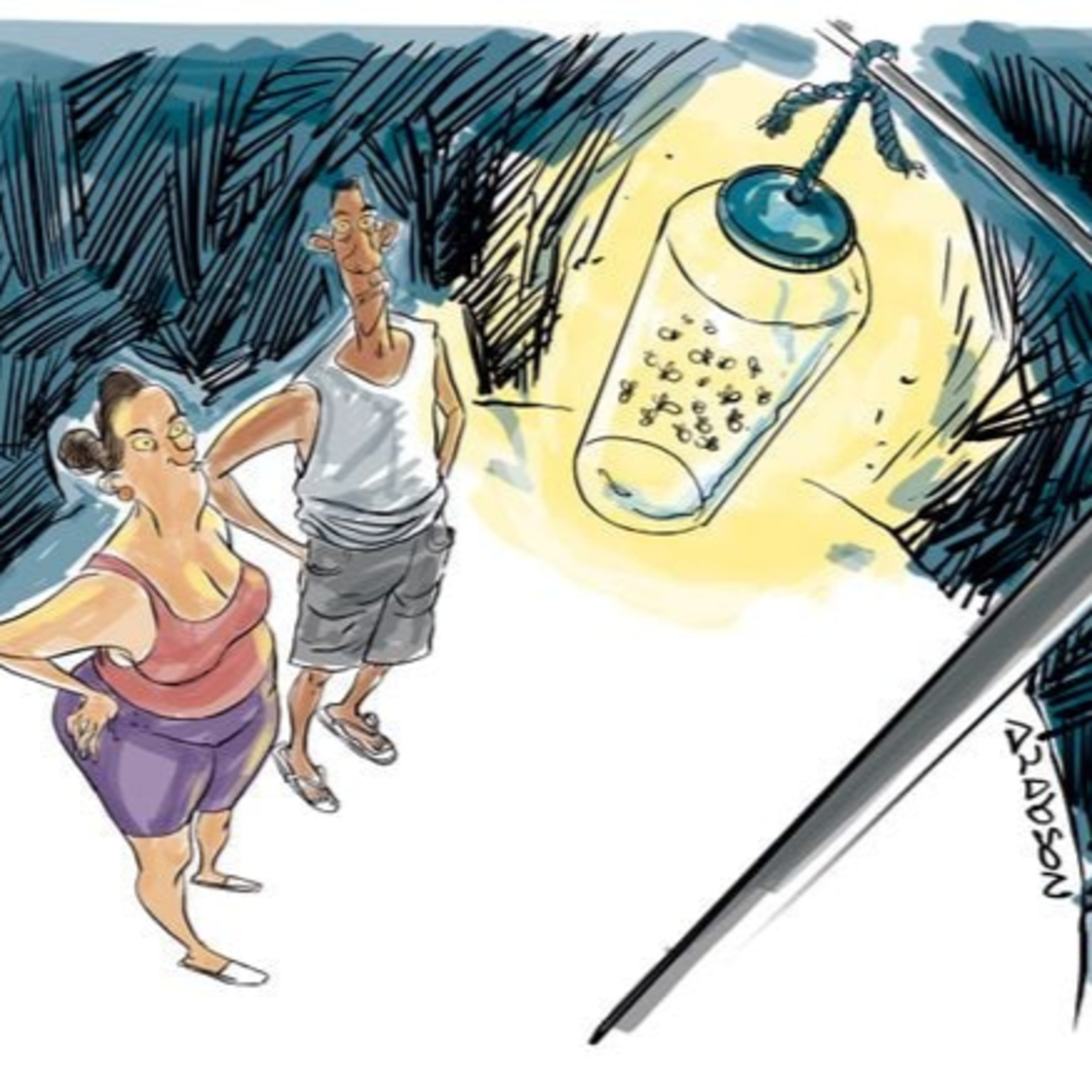 Estamos diante do risco de extinção dos vagalumes? Entenda!