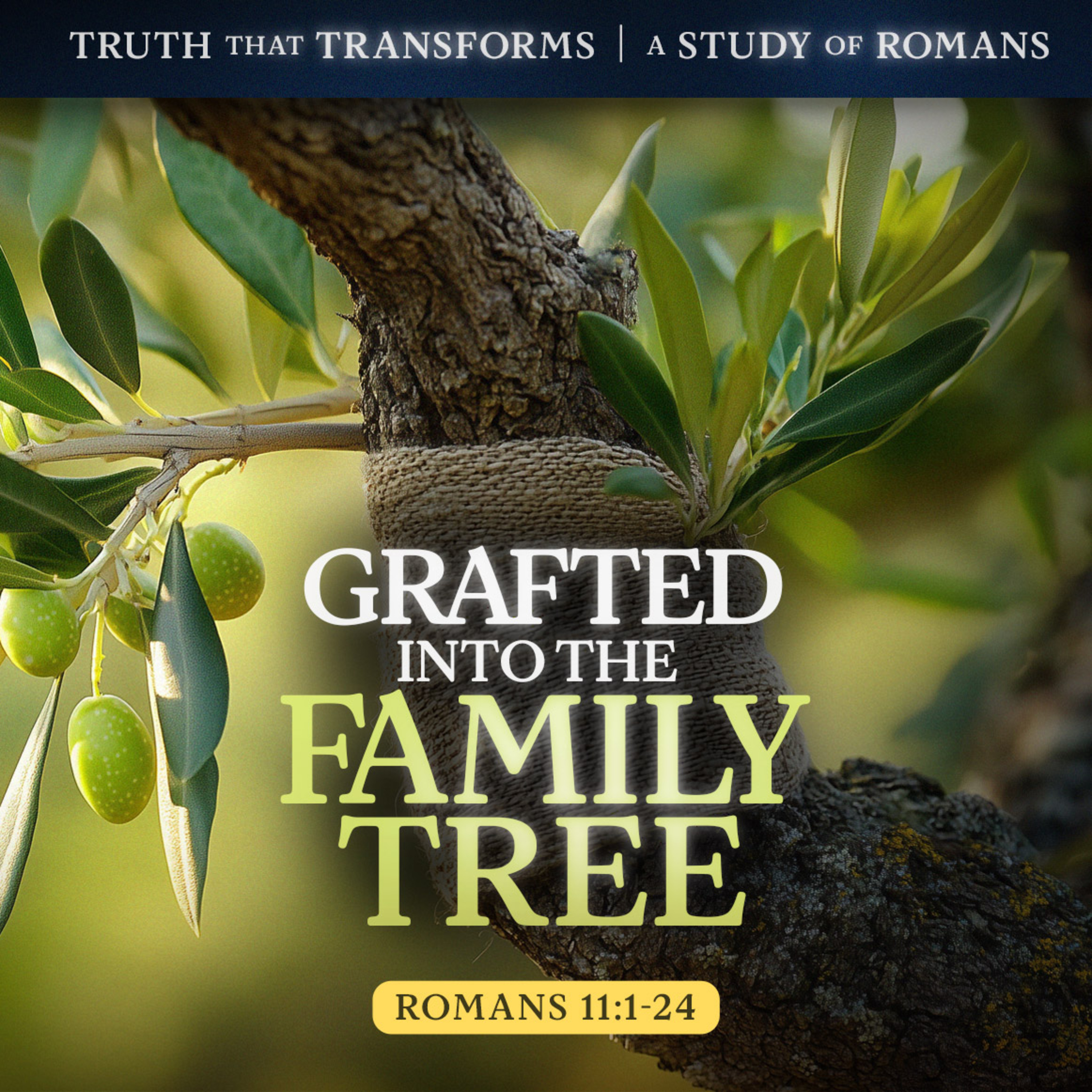 Grafted Into the Family Tree
