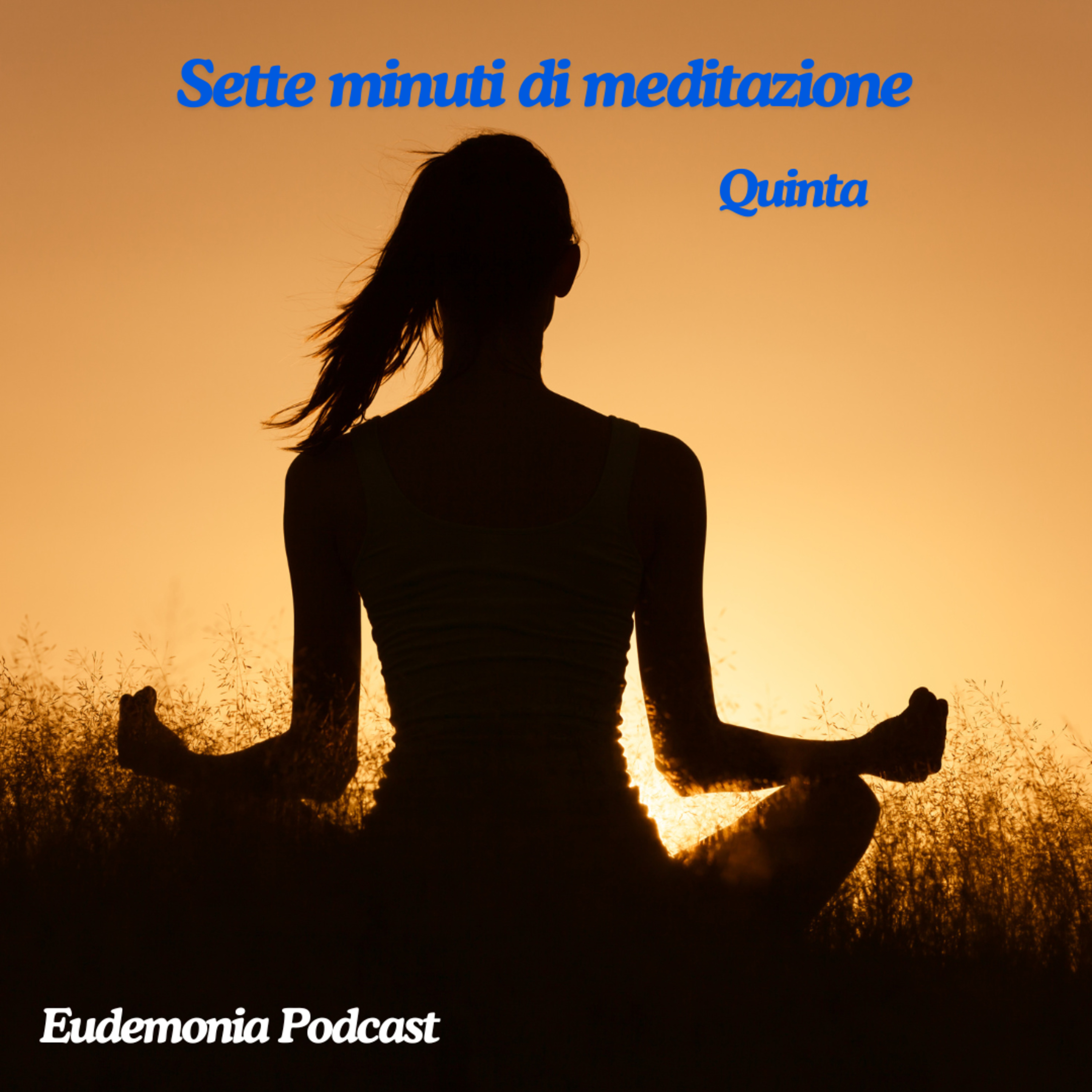 Sette minuti di meditazione - Quinta episode artwork