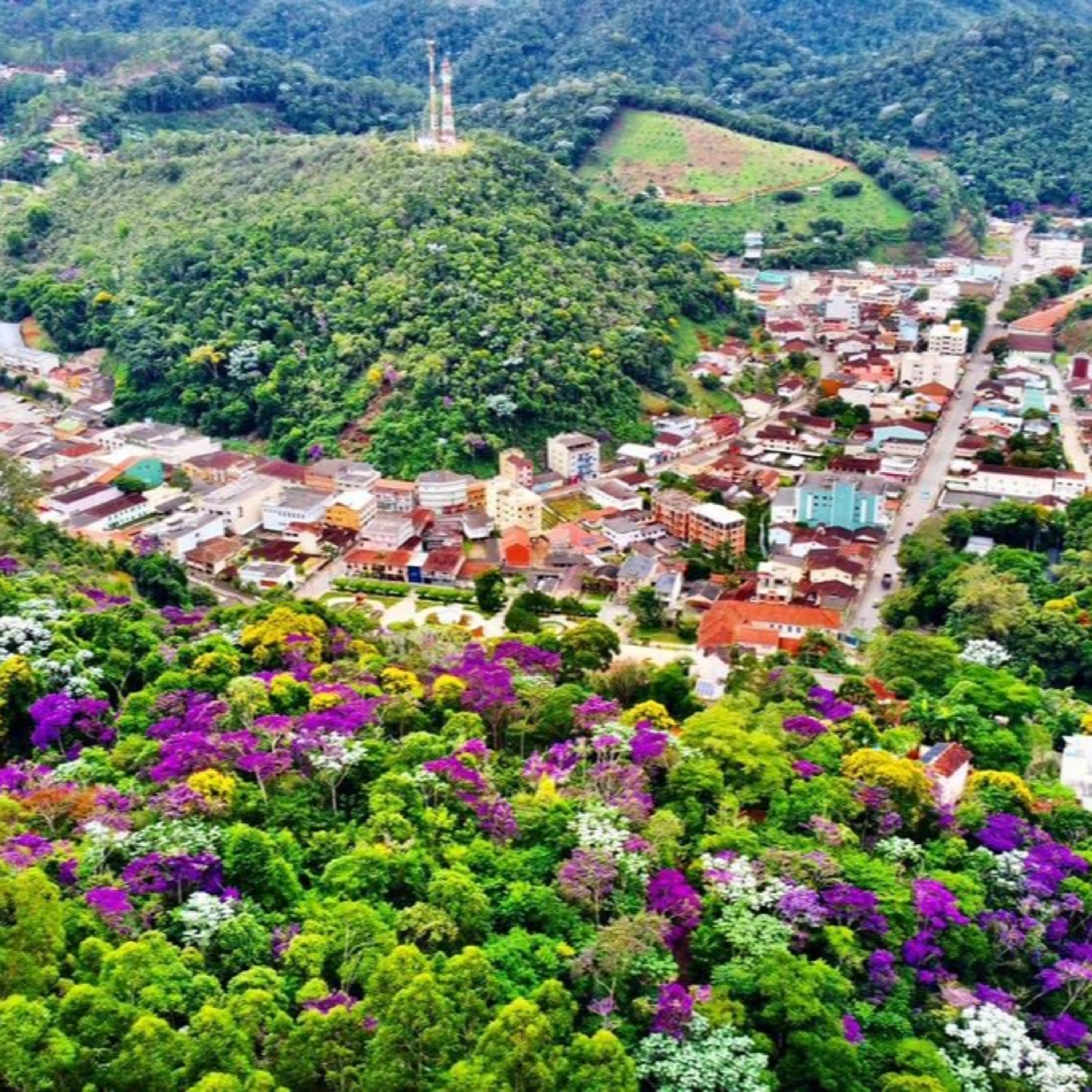 Hospedagens pet friendly para curtir o inverno nas montanhas!