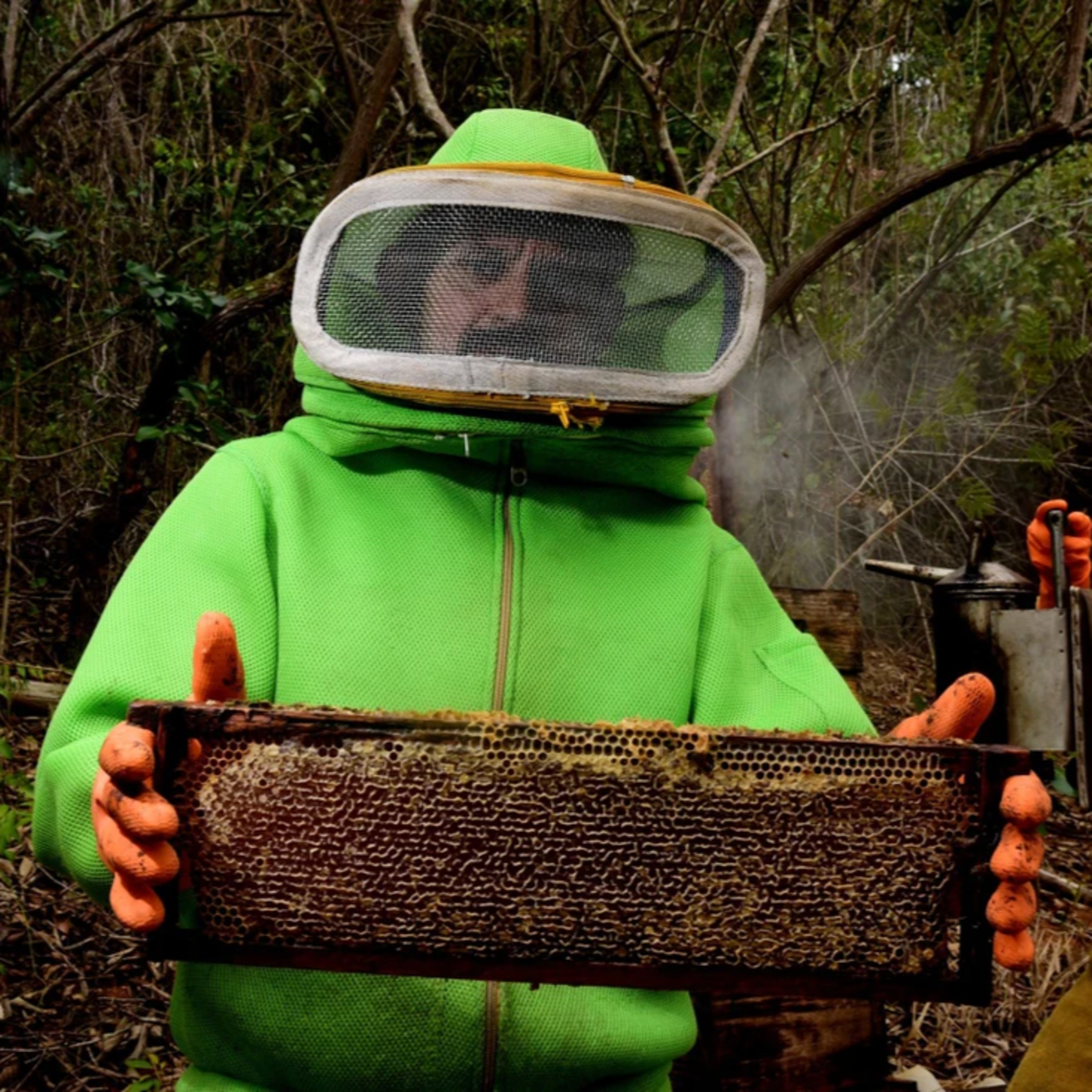 Conheça as histórias e belezas de Fundão: "a terra do mel"
