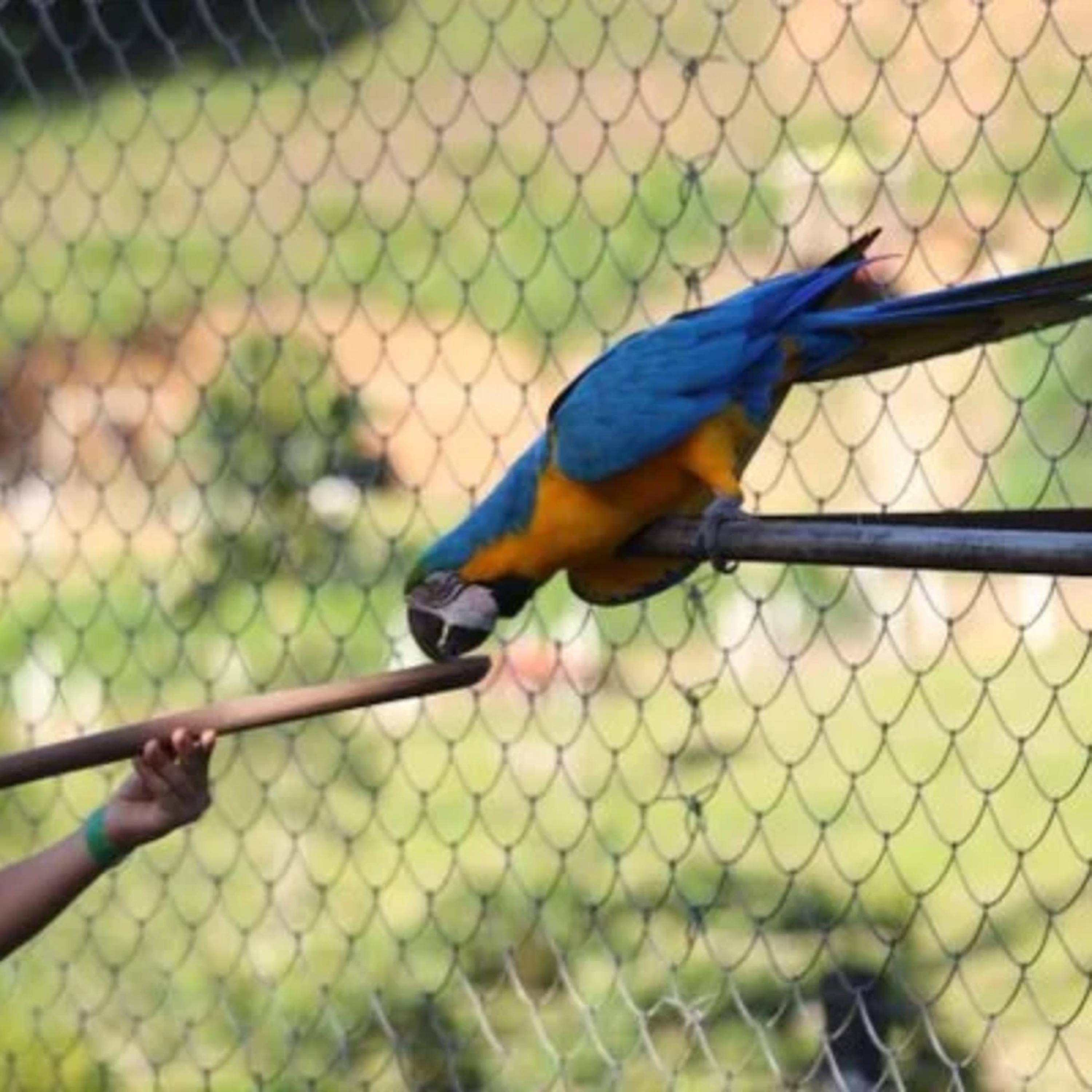 Crianças: dicas de passeios para curtir com a garotada
