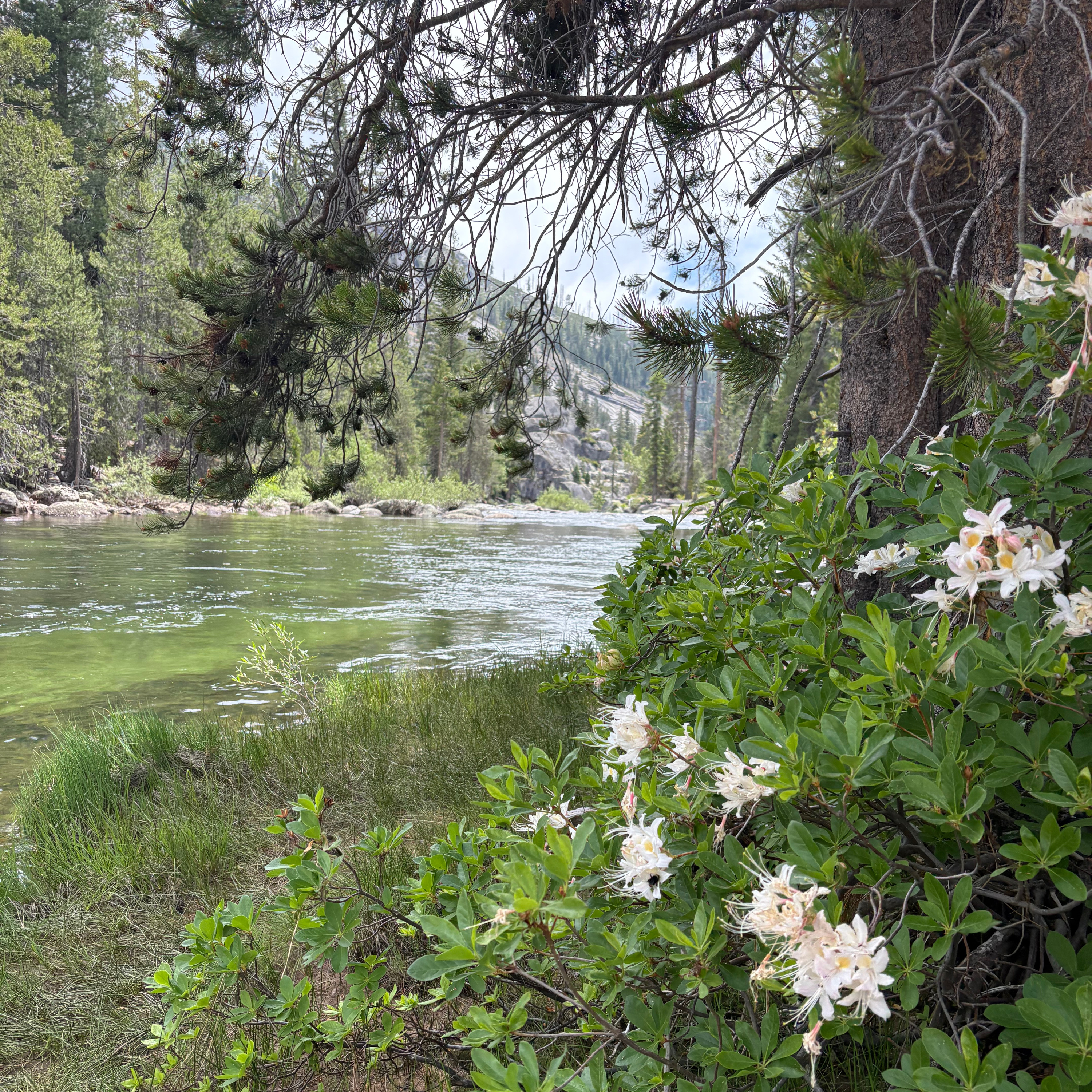 Affirmations for Being There For You