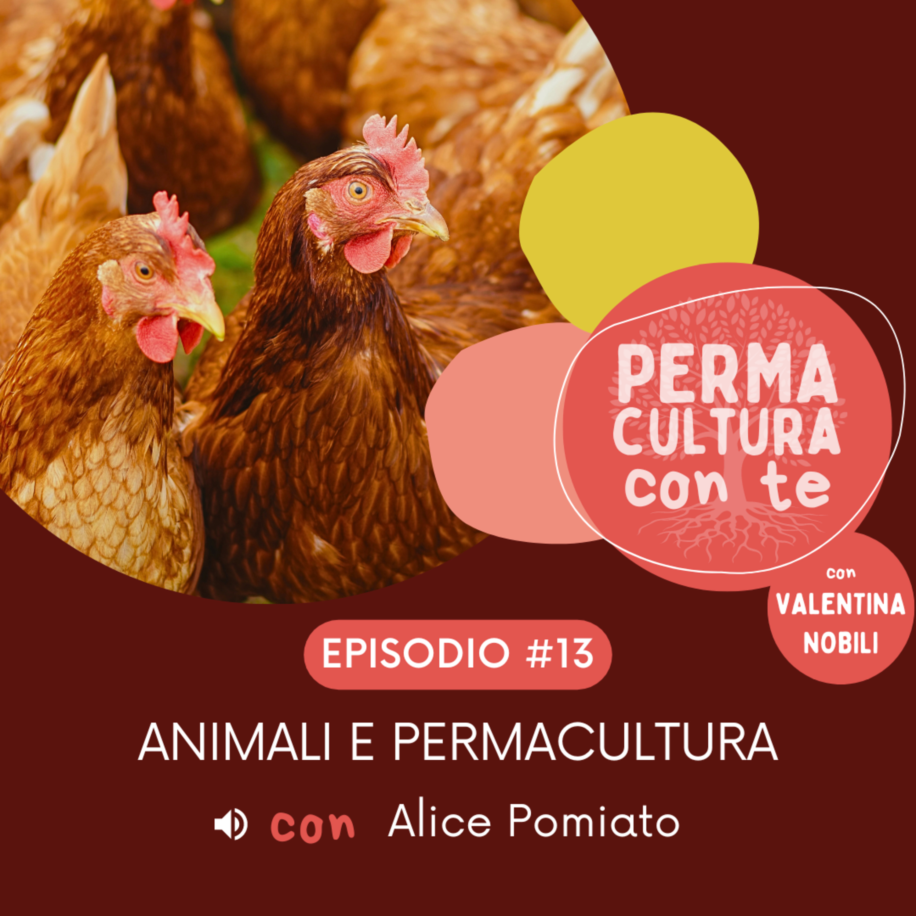 Permacultura Con Te