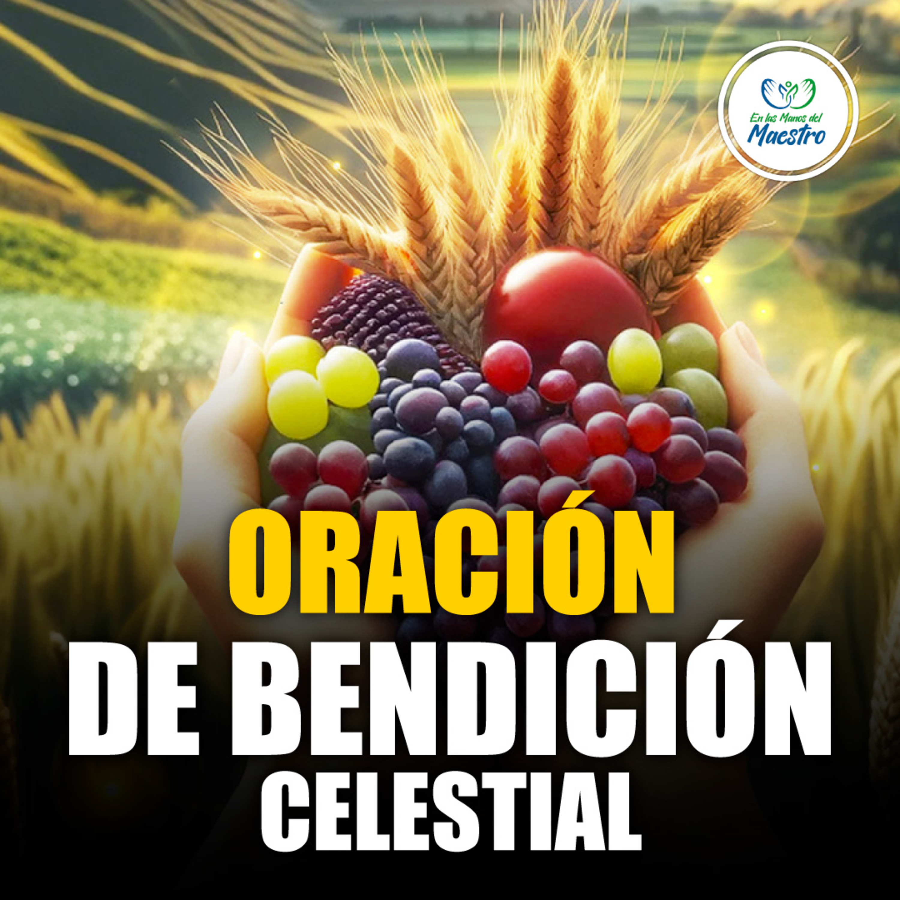EN LAS MANOS DEL MAESTRO