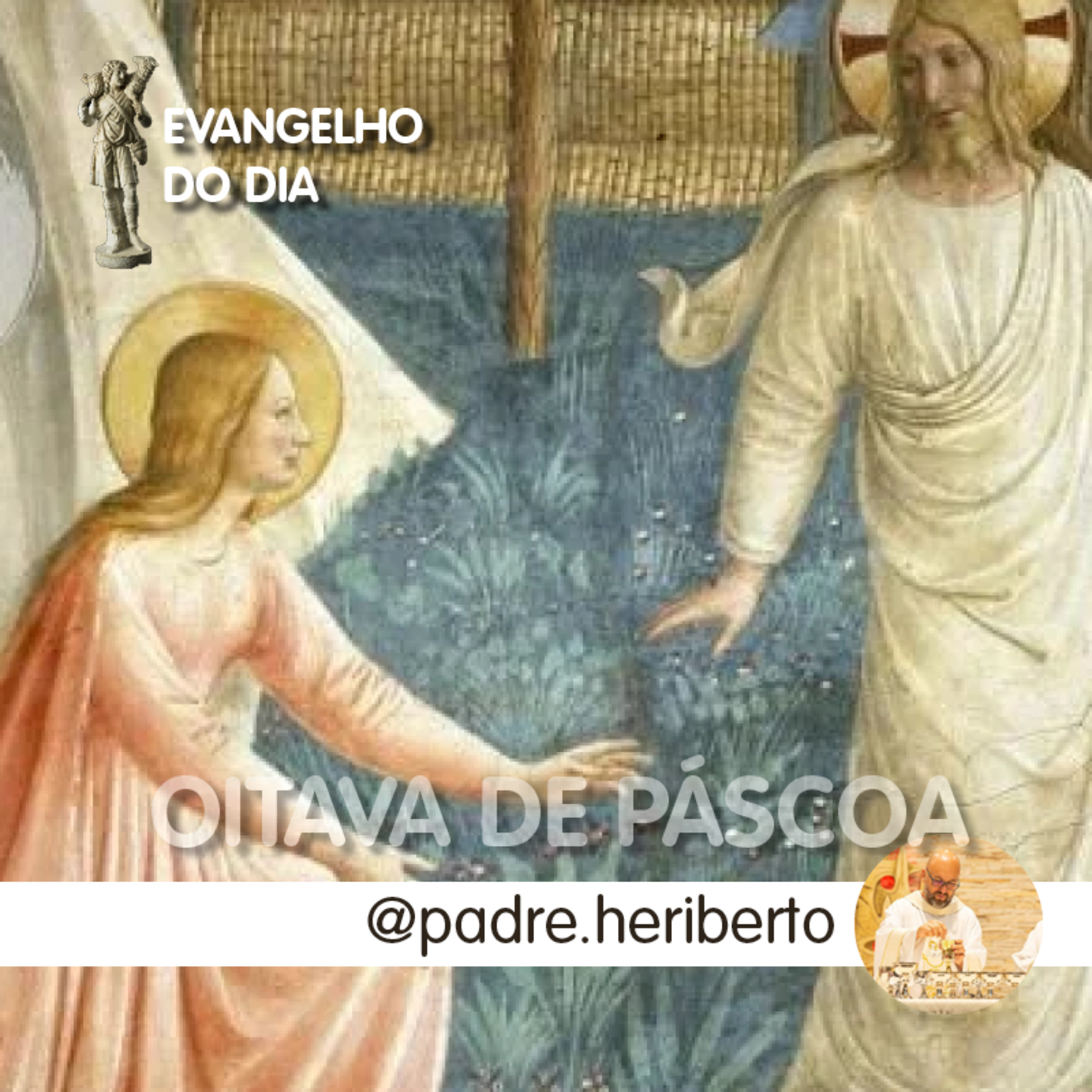Evangelho do dia