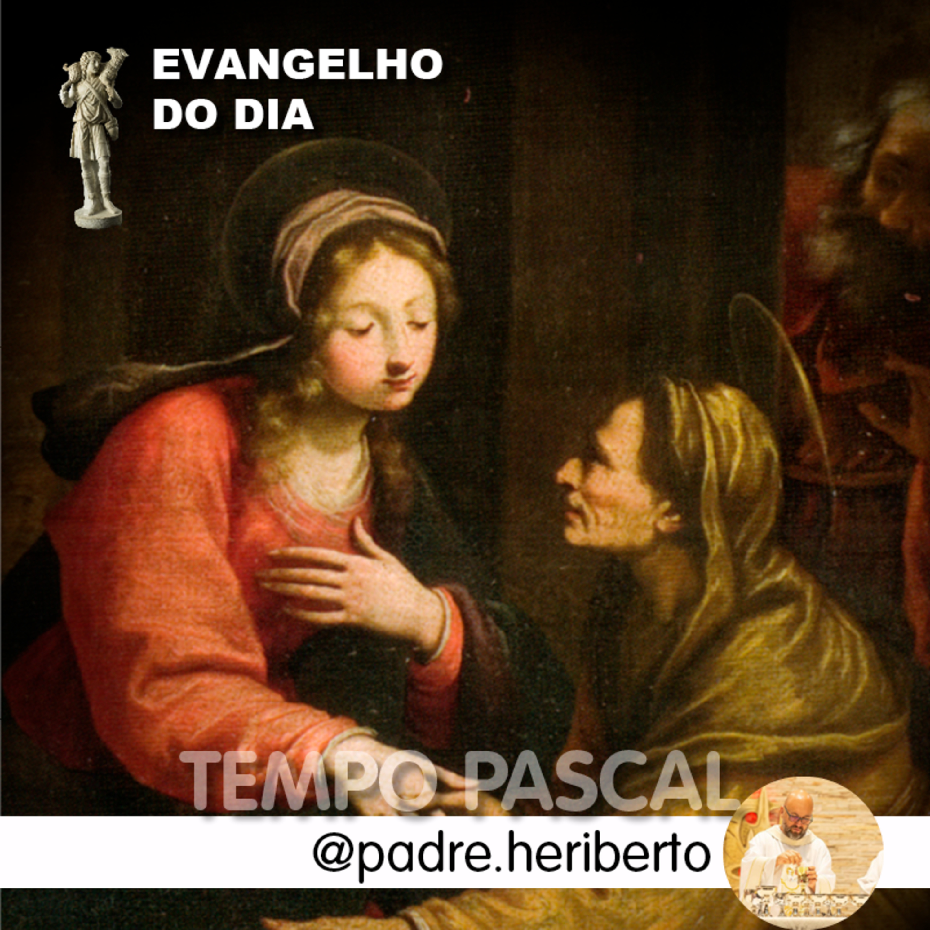VISITAÇÃO DA BEM AVENTURADA VIRGEM MARIA | SÁBADO | 31 MAIO 2025 | Lc 1,39-56 episode artwork
