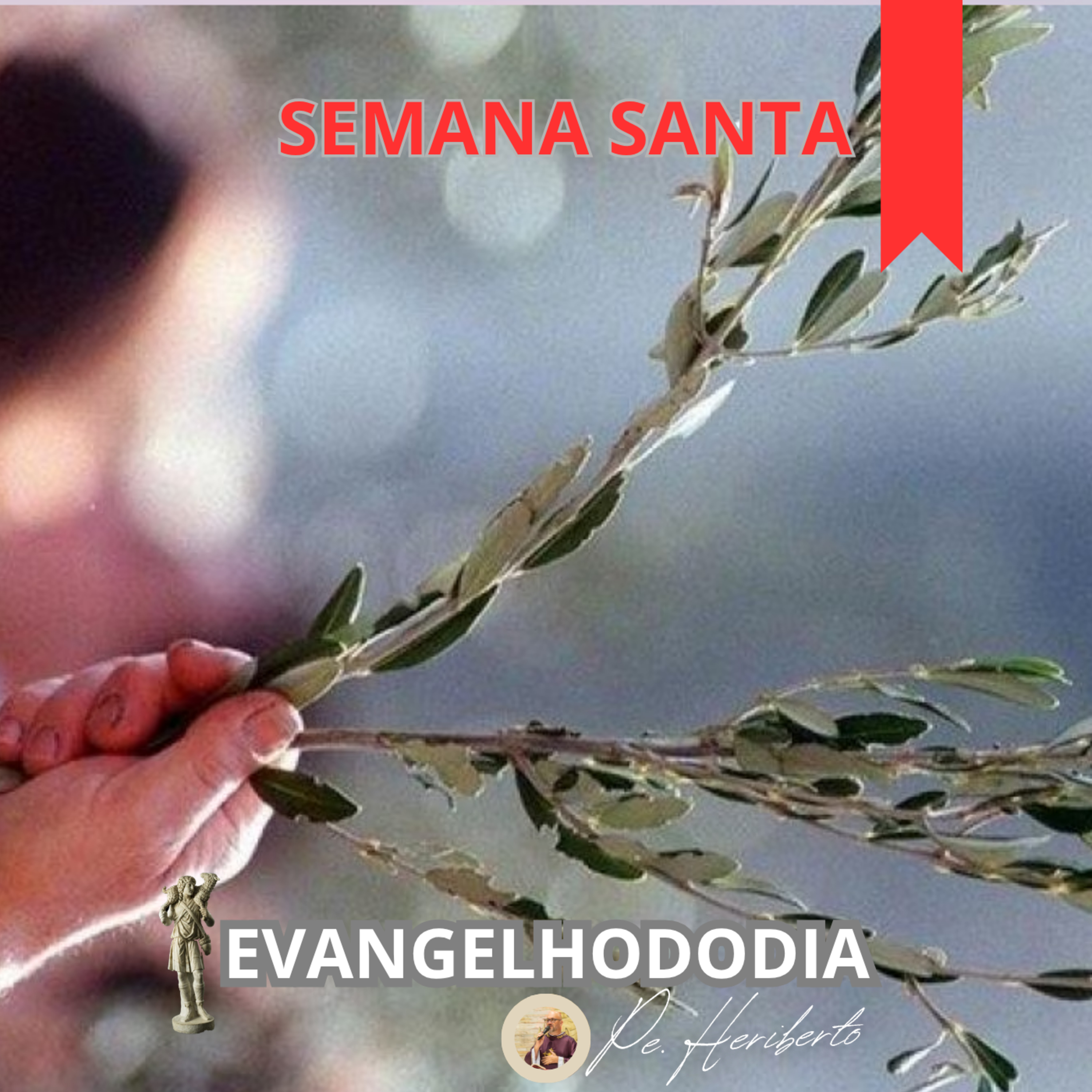 DOMINGO DE RAMOS DA PAIXÃO DO SENHOR | 29 MAR 26 | Mt 21,1-11 episode artwork
