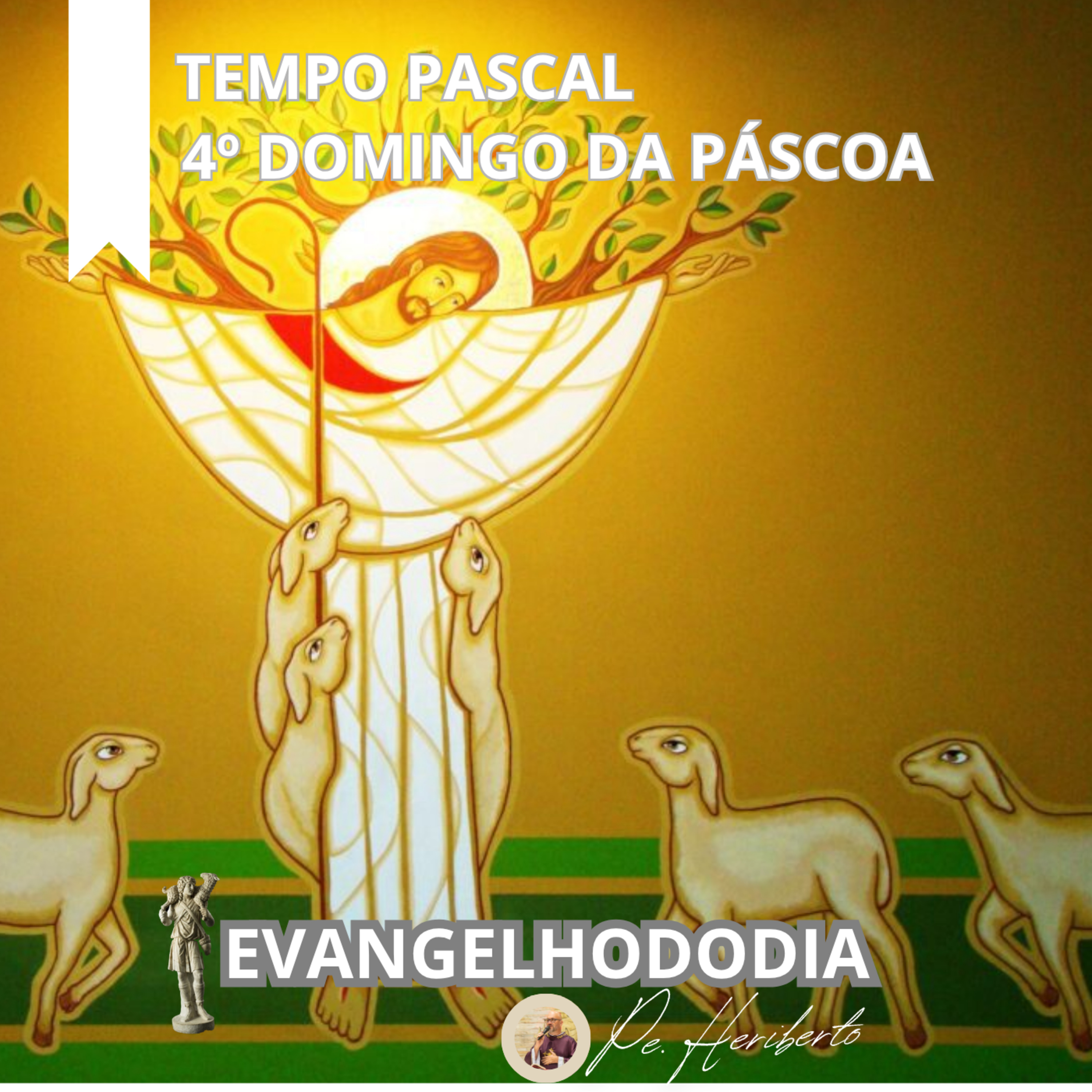 DOMINGO DO BOM PASTOR | 26 ABR 26 | Jo 10,1-10 episode artwork