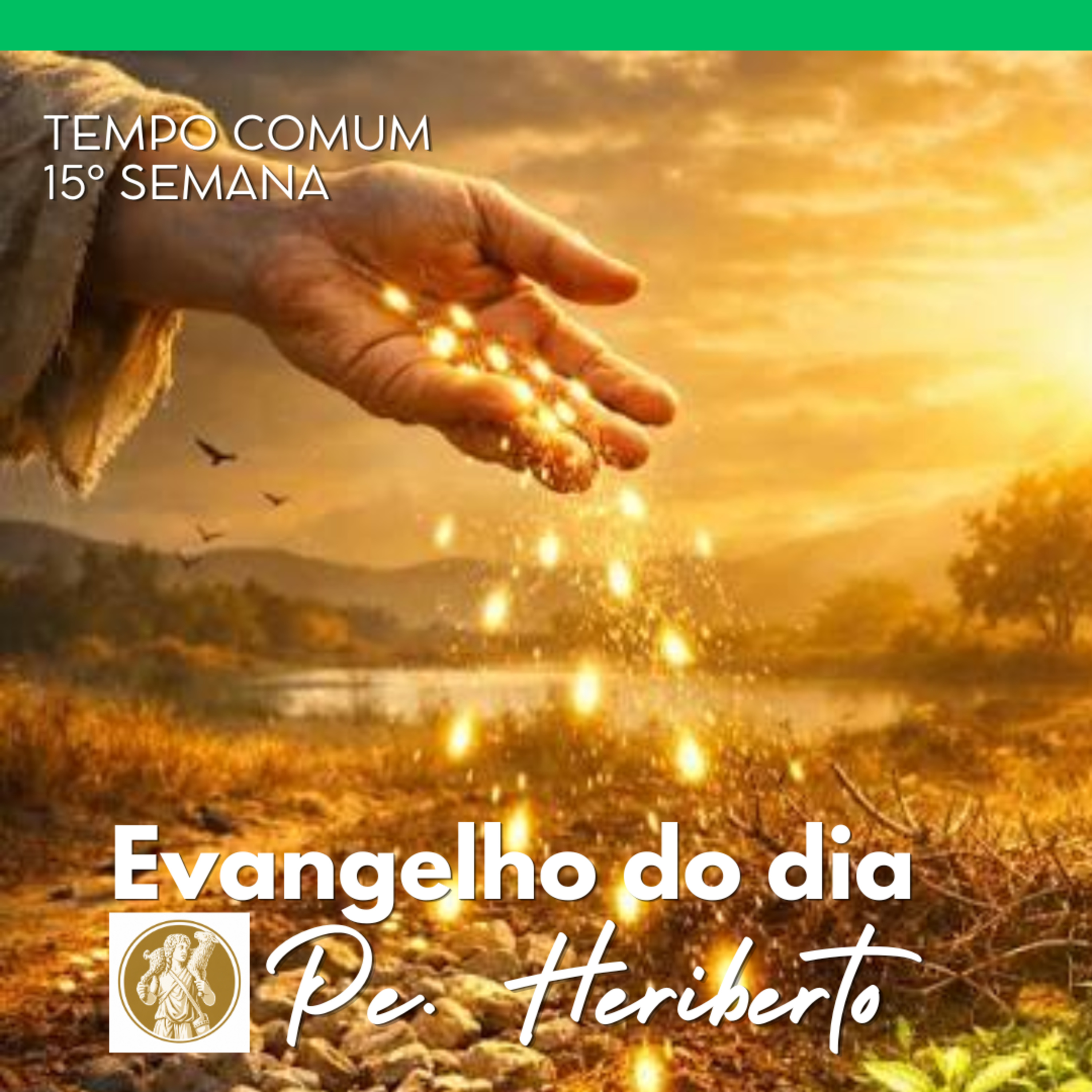 XV DOMINGO | 12 JUL 26 | Mt 13,1-23 episode artwork