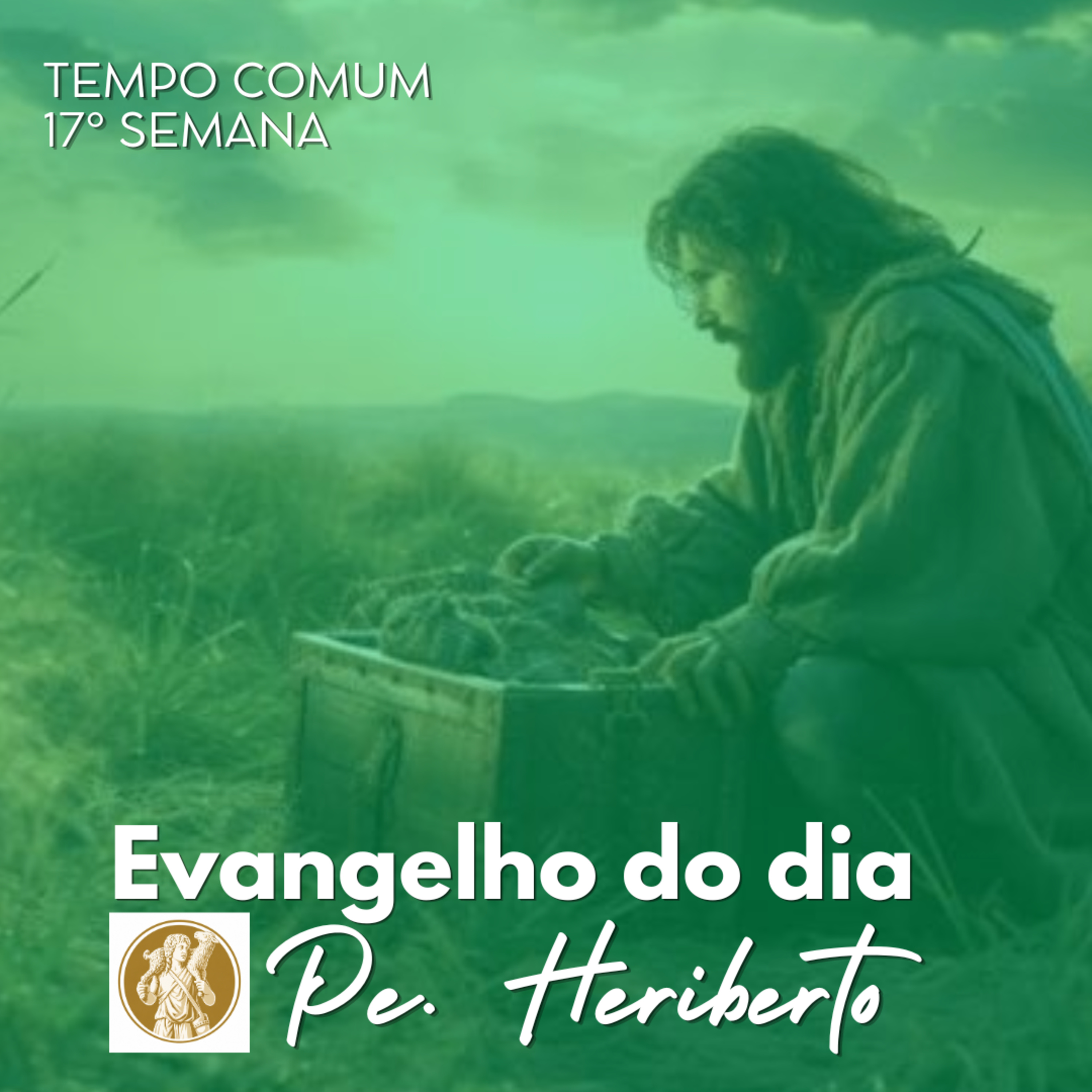 TERÇA | 28 JUL 26 | Mt 13,36-43 episode artwork