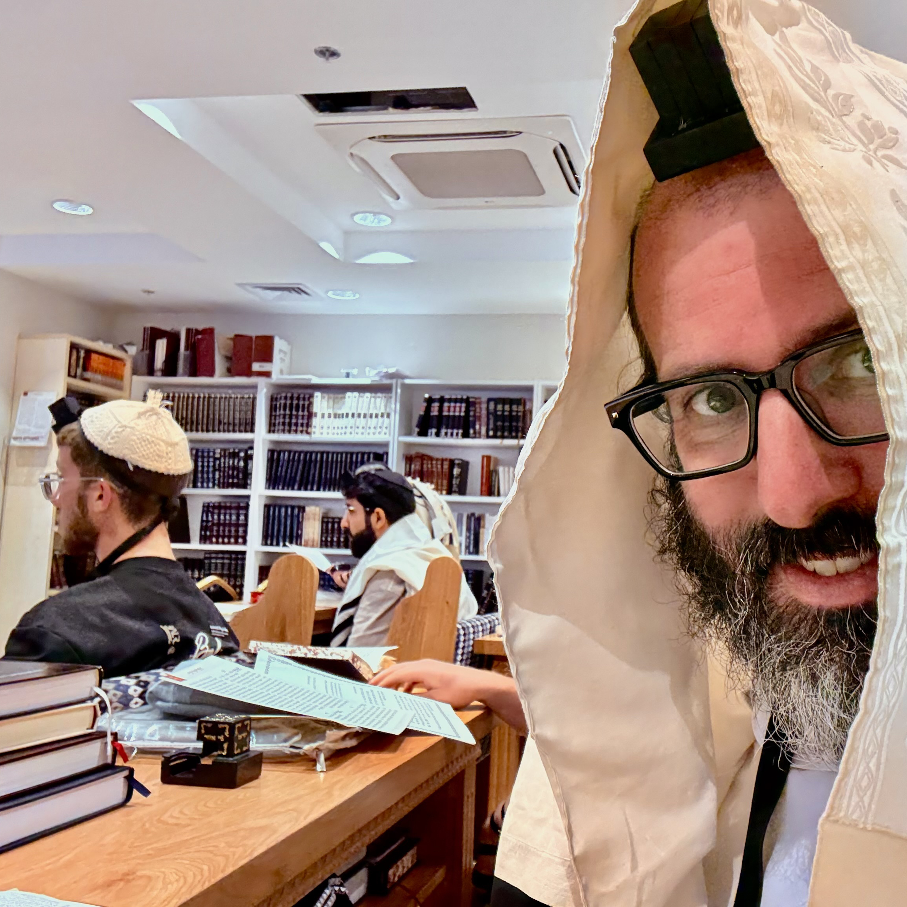 The Tzaddikim & Hashem Come to Hear Our Voice @ Good Points 🕛 - Likutei Halachos 15/1 @ Shirat David episode artwork