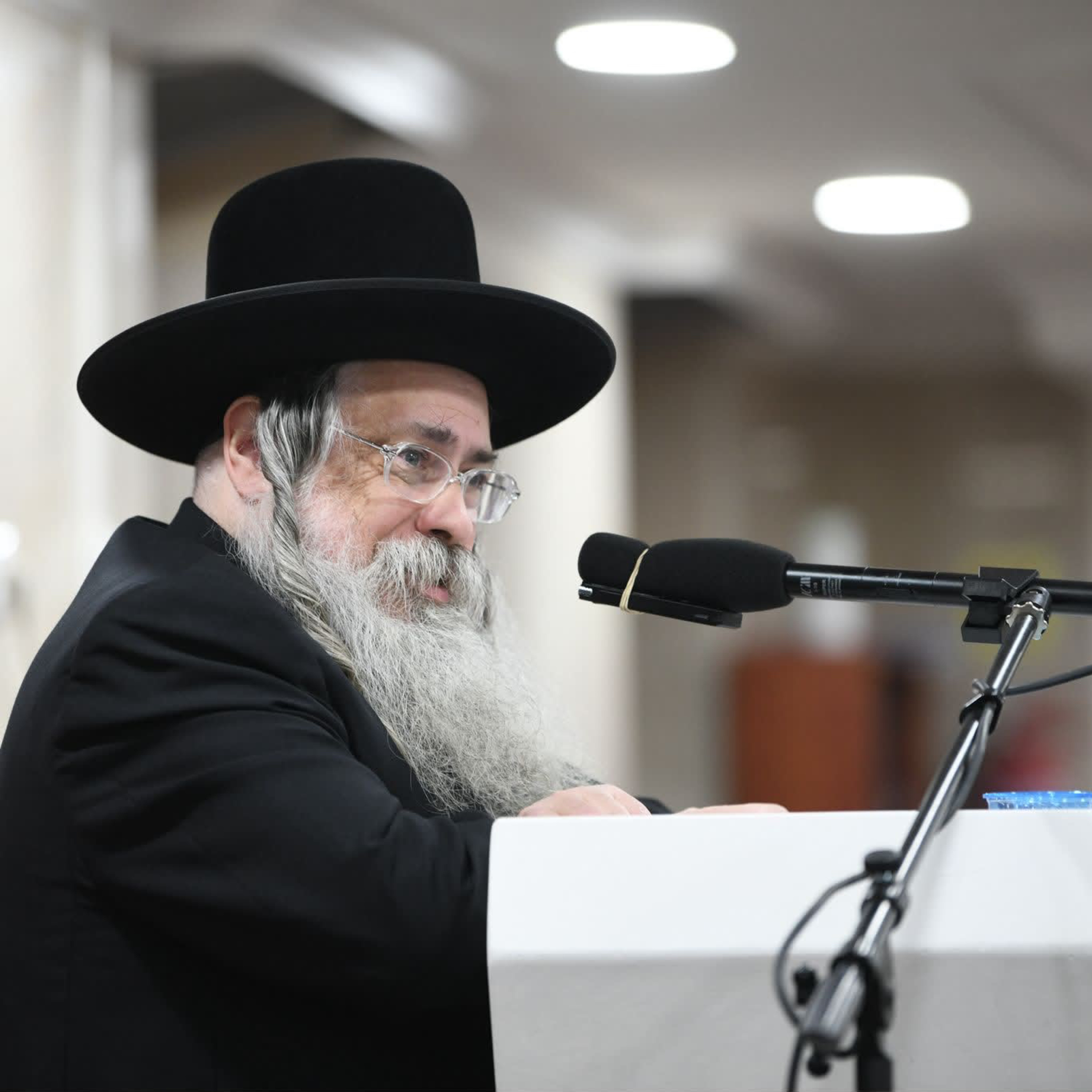 Tolna Rebbe - Learning From the Donkey, Love of Hashem requires Love of Yisrael - Shabbos Nachamu! episode artwork