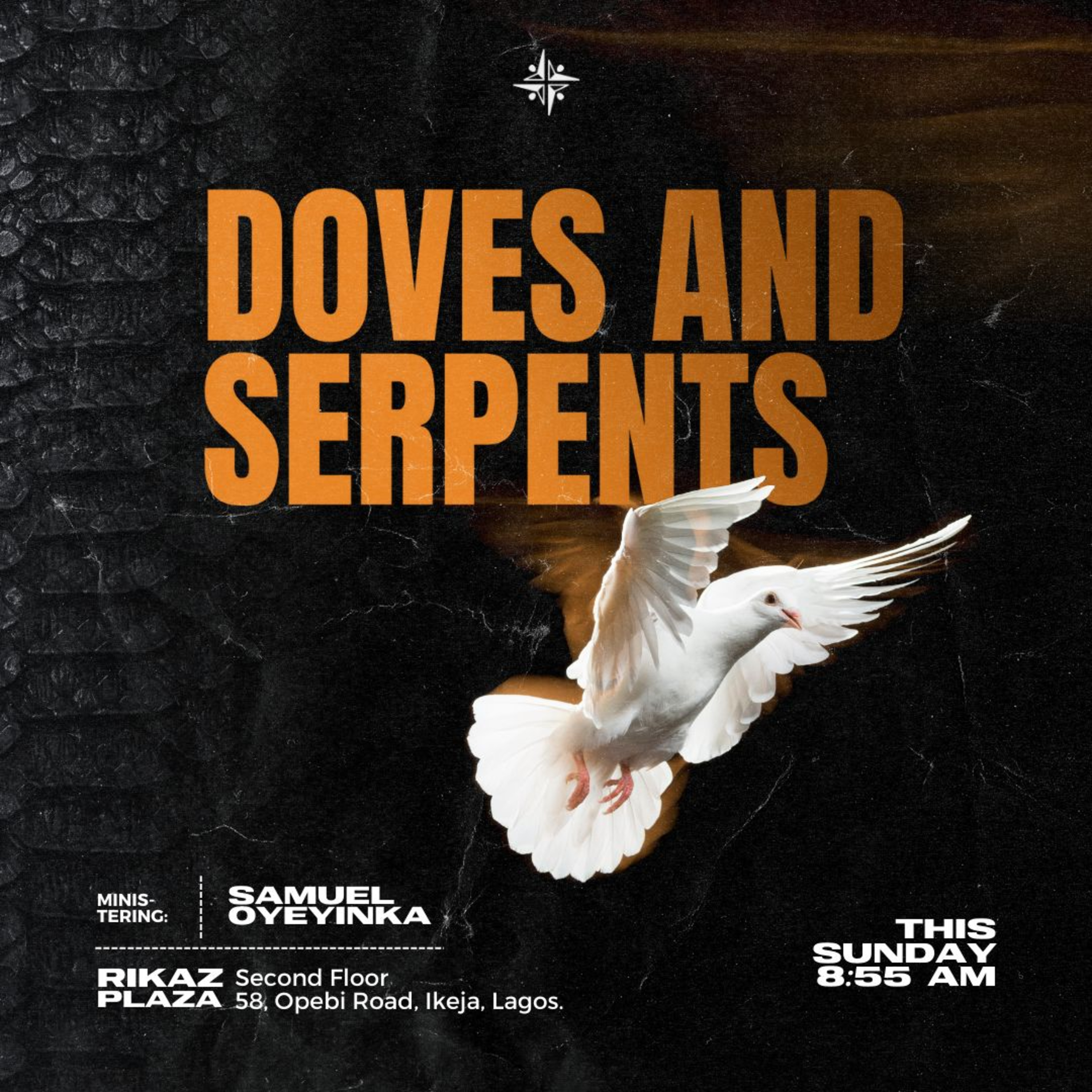 Doves & Serpents (Christian Wisdom and Ethics) episode artwork