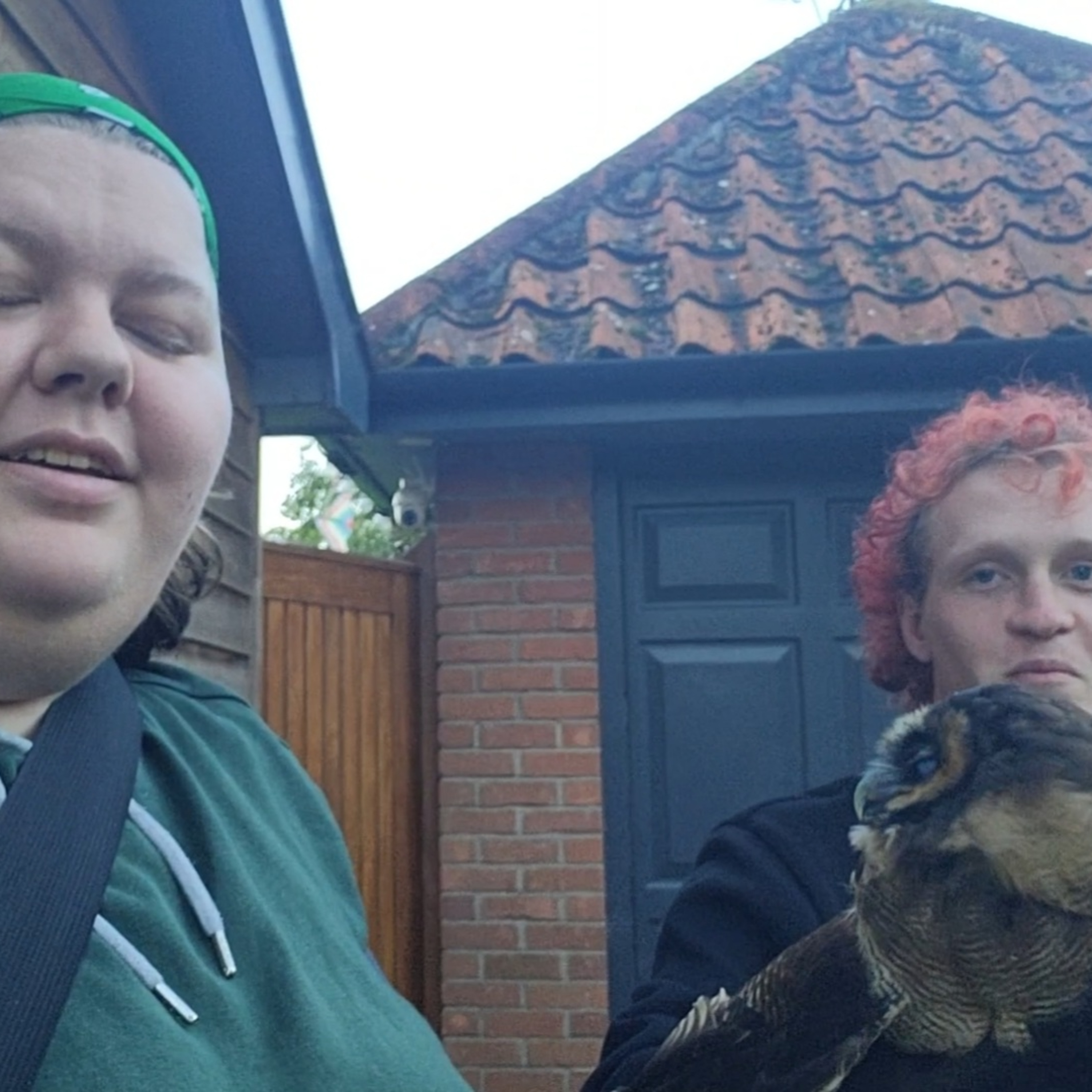 Get to meet a Asian barn owl