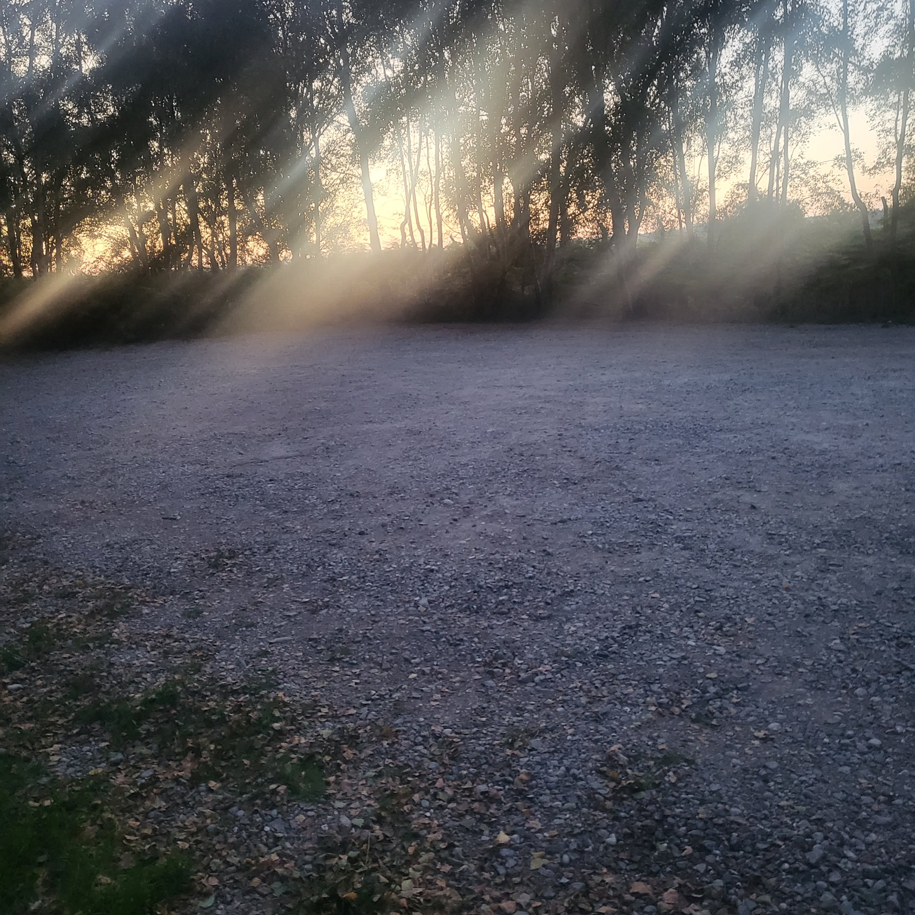 Rendlesham Forest walk