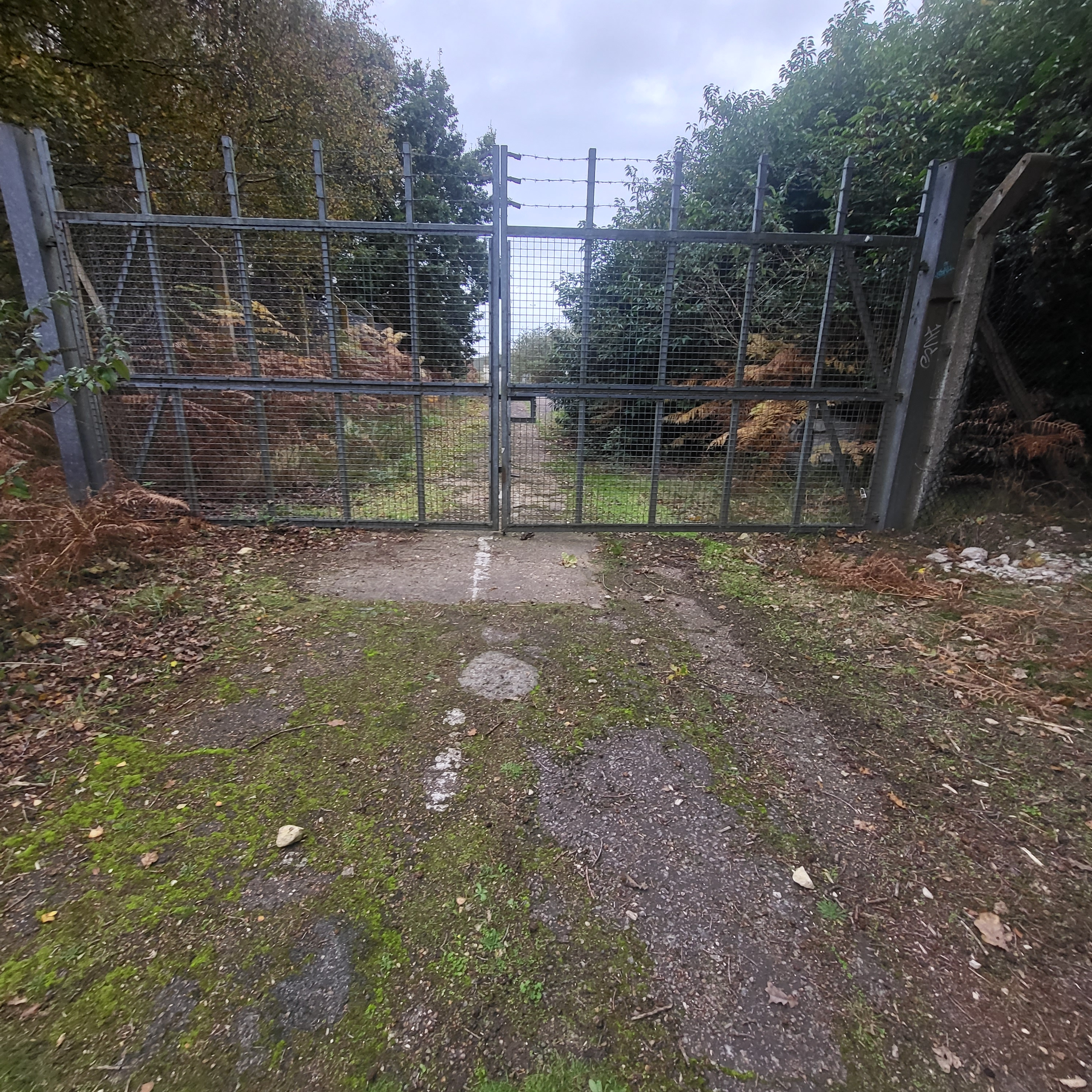 Rendlesham Forest walk Episode 1