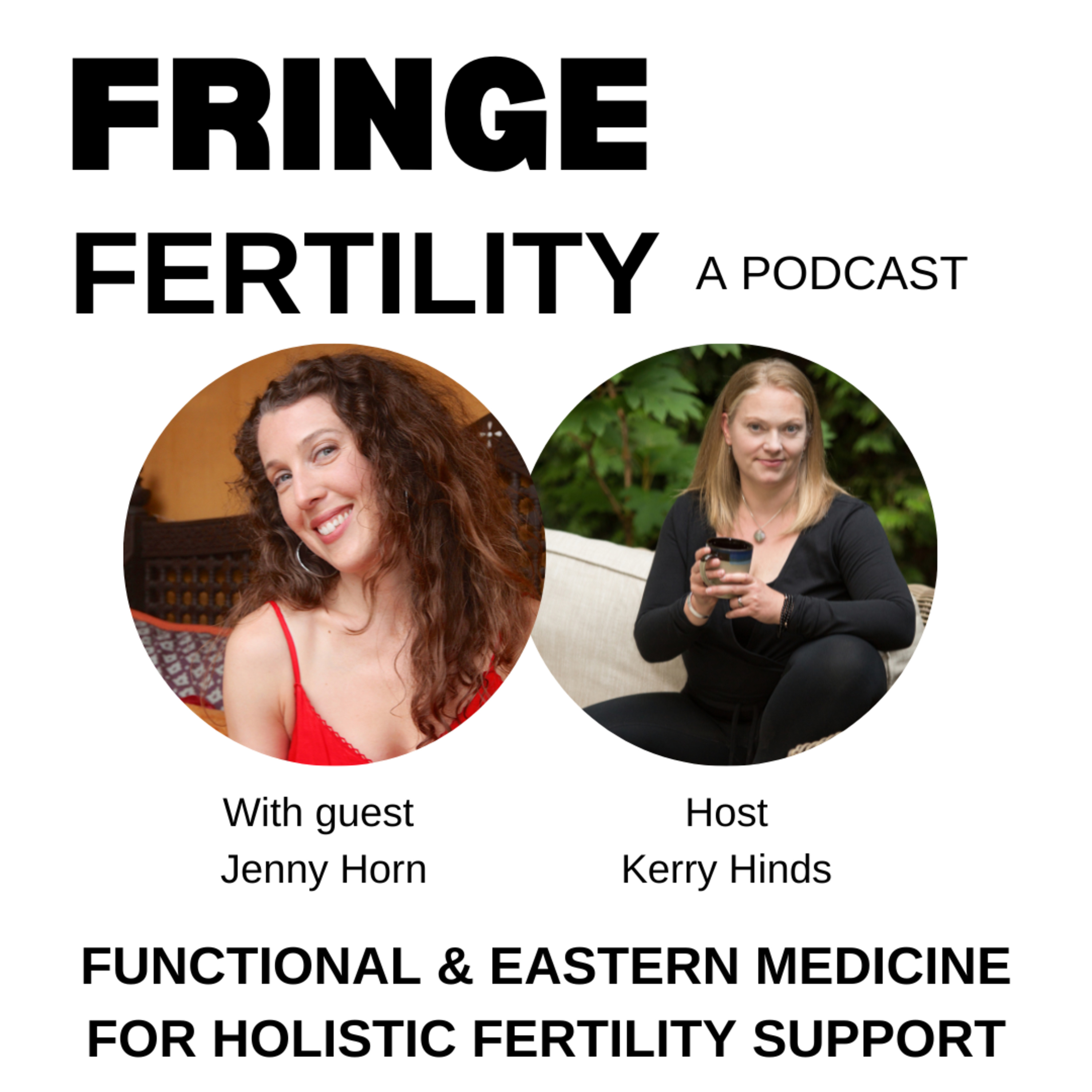Functional & Eastern Medicine for Holistic Fertility Support with Jenny Horn episode artwork