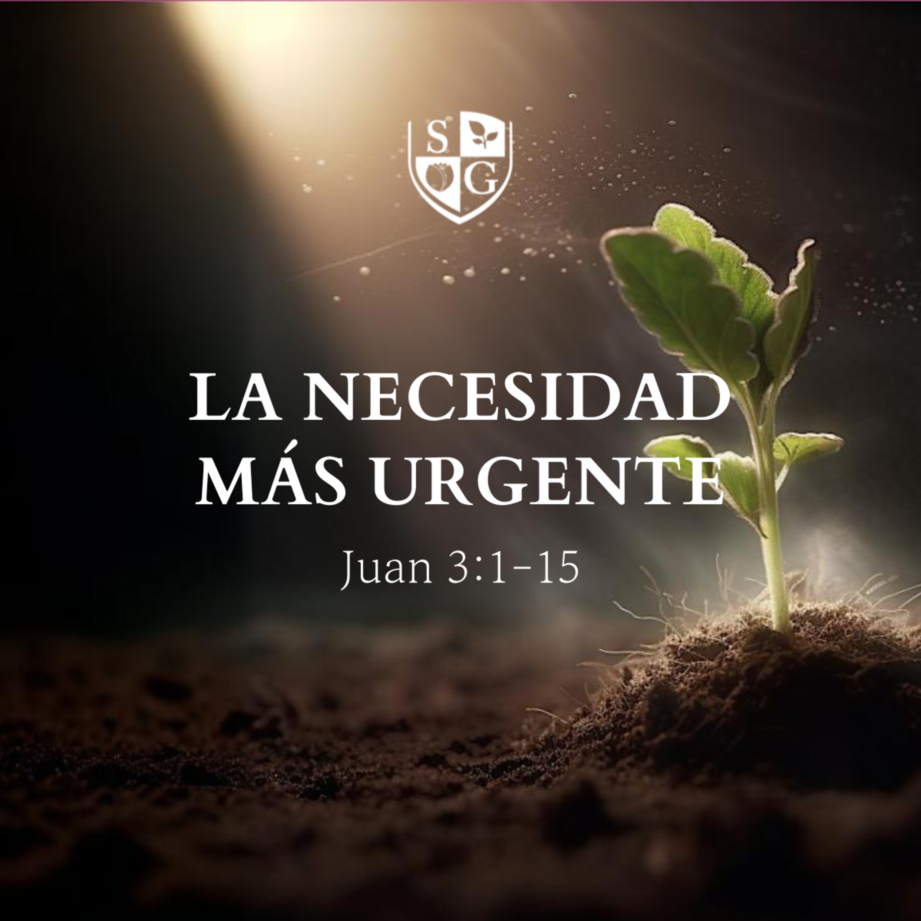 "La necesidad más urgente" Juan 3:1-15 | Hno. Félix Duarte episode artwork