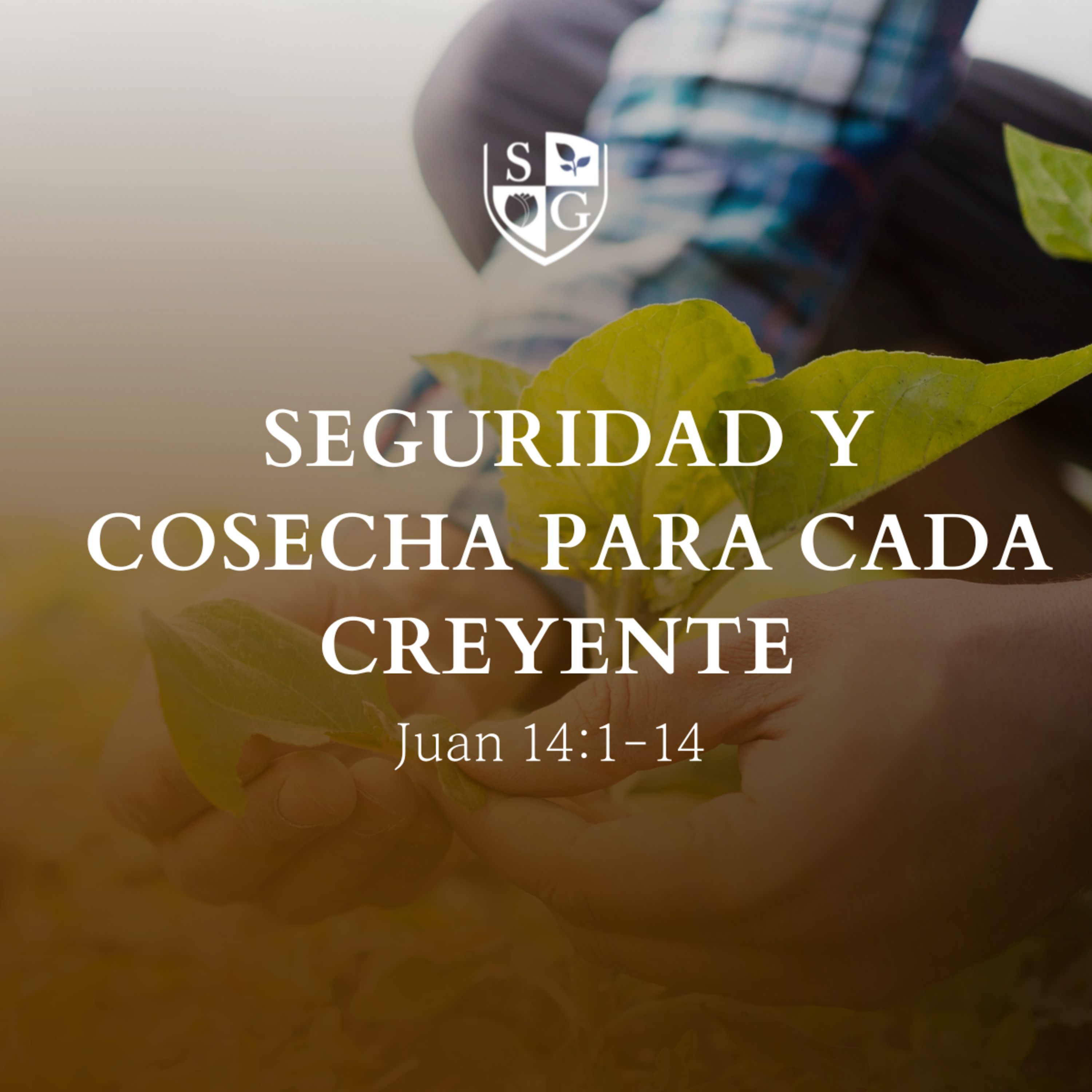  "Seguridad y cosecha para cada creyente" Juan 14:1-14 | Pr. Stephen Haines episode artwork