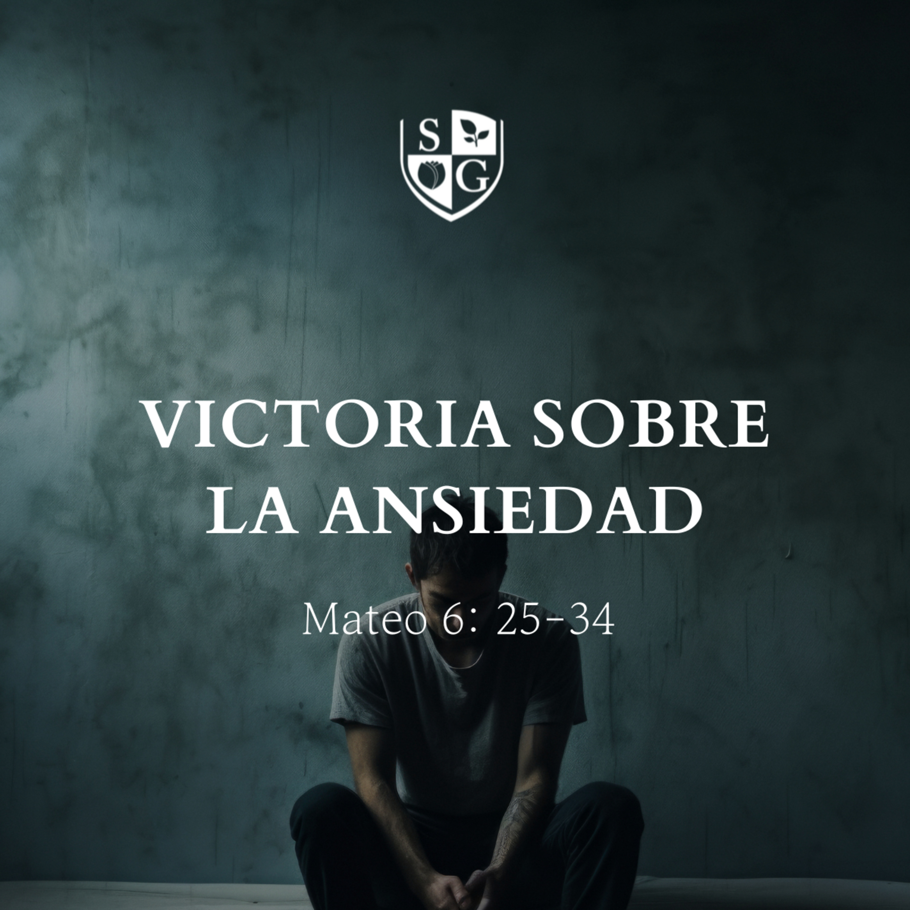  "Victoria sobre la ansiedad" Mateo 6:25-34 | Pr. Stephen Haines episode artwork