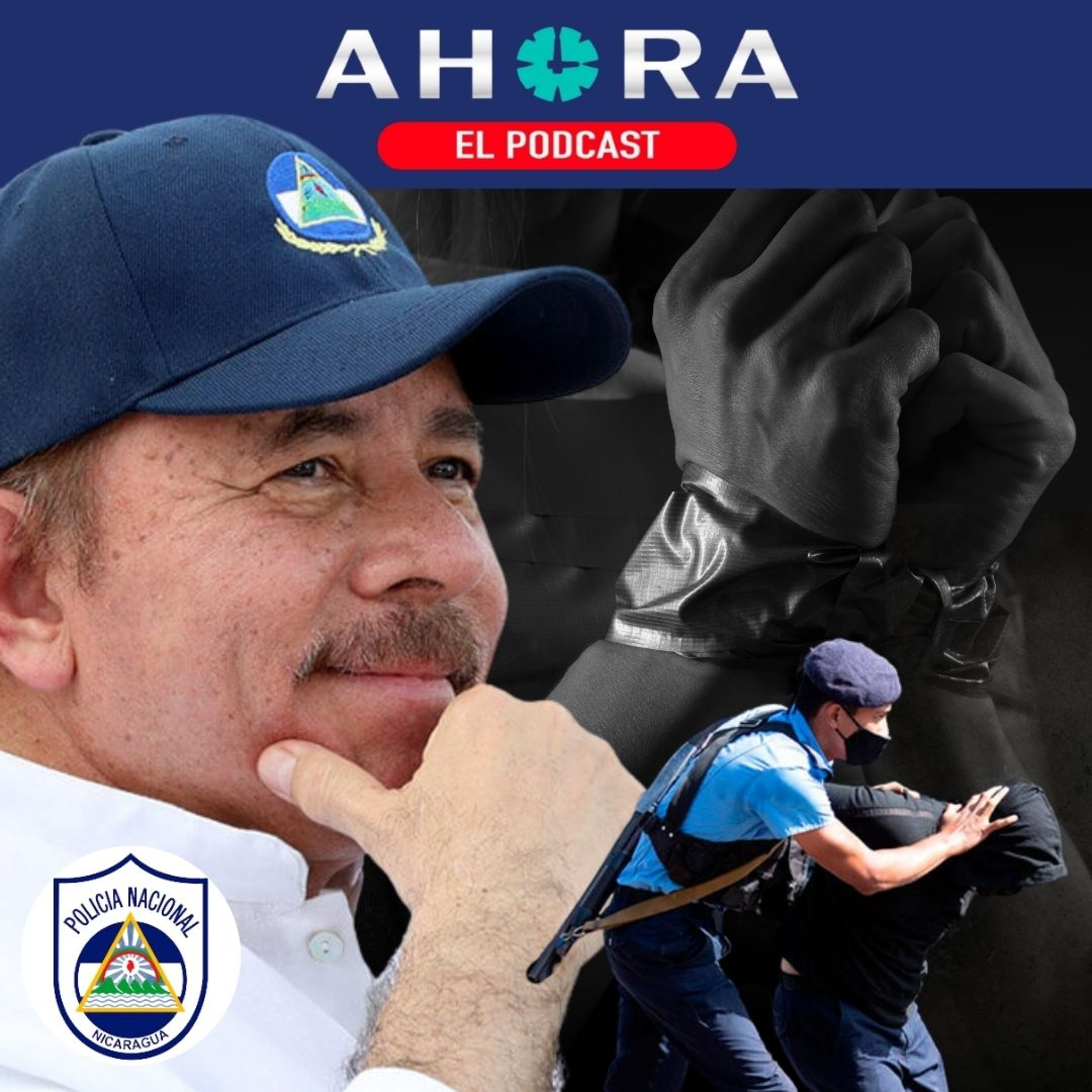Artículo 66