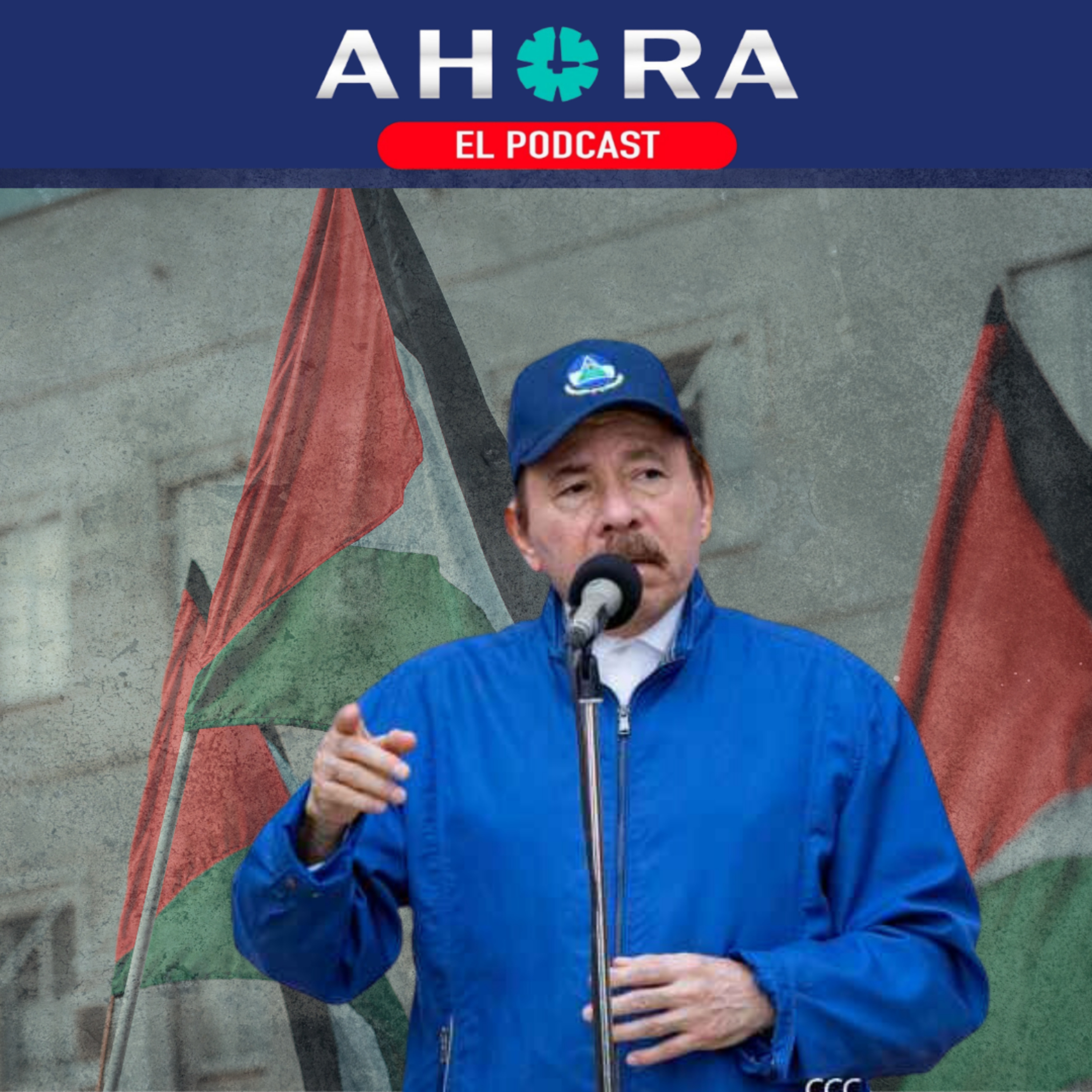 Portada de Artículo 66