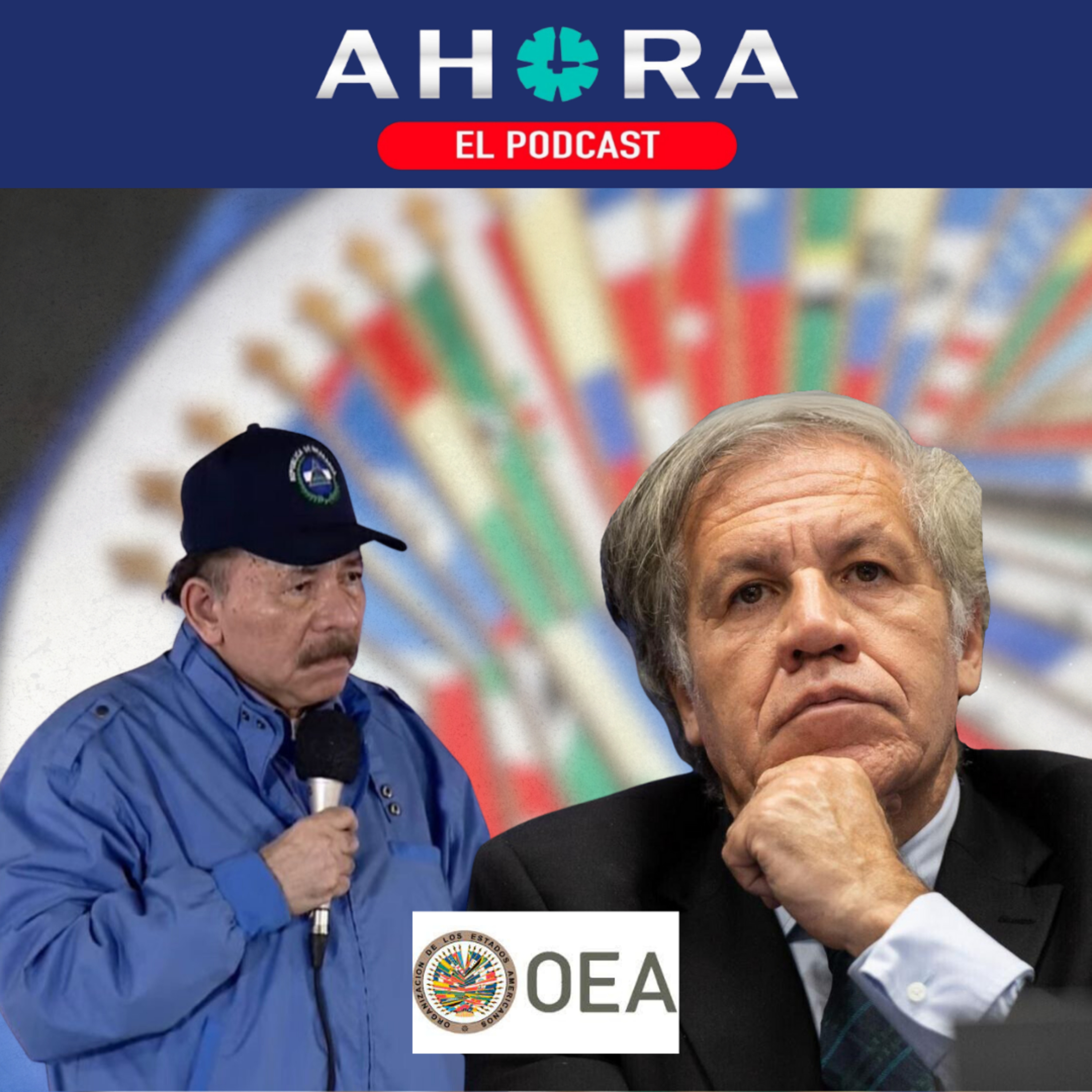 Portada de Artículo 66