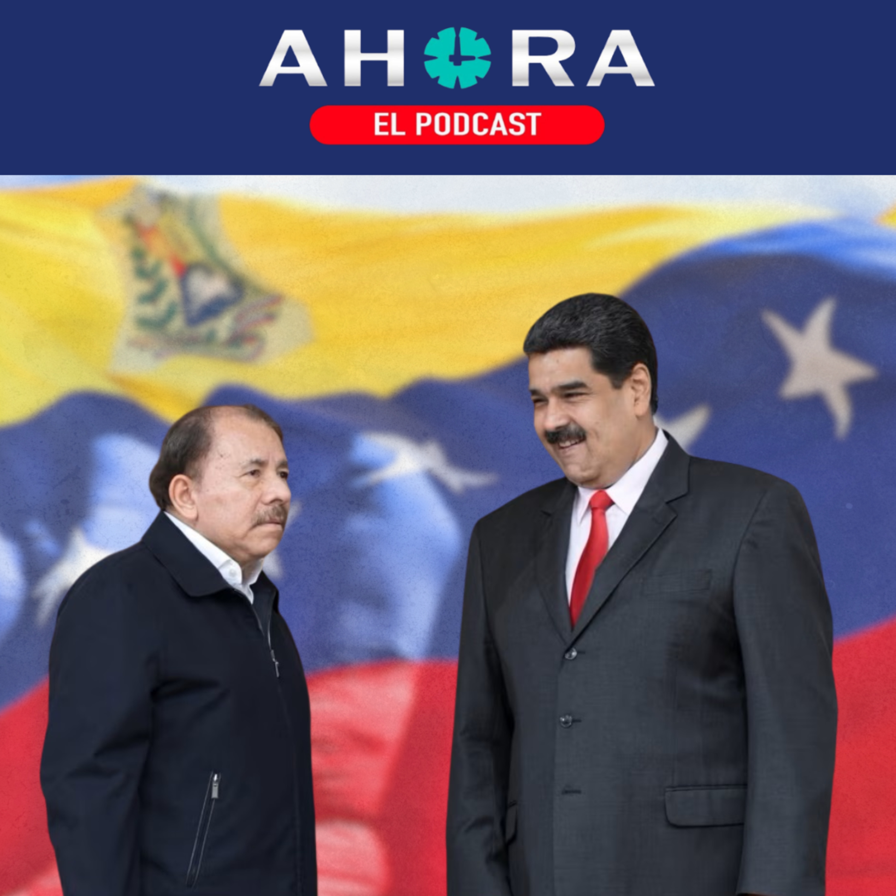 Artículo 66