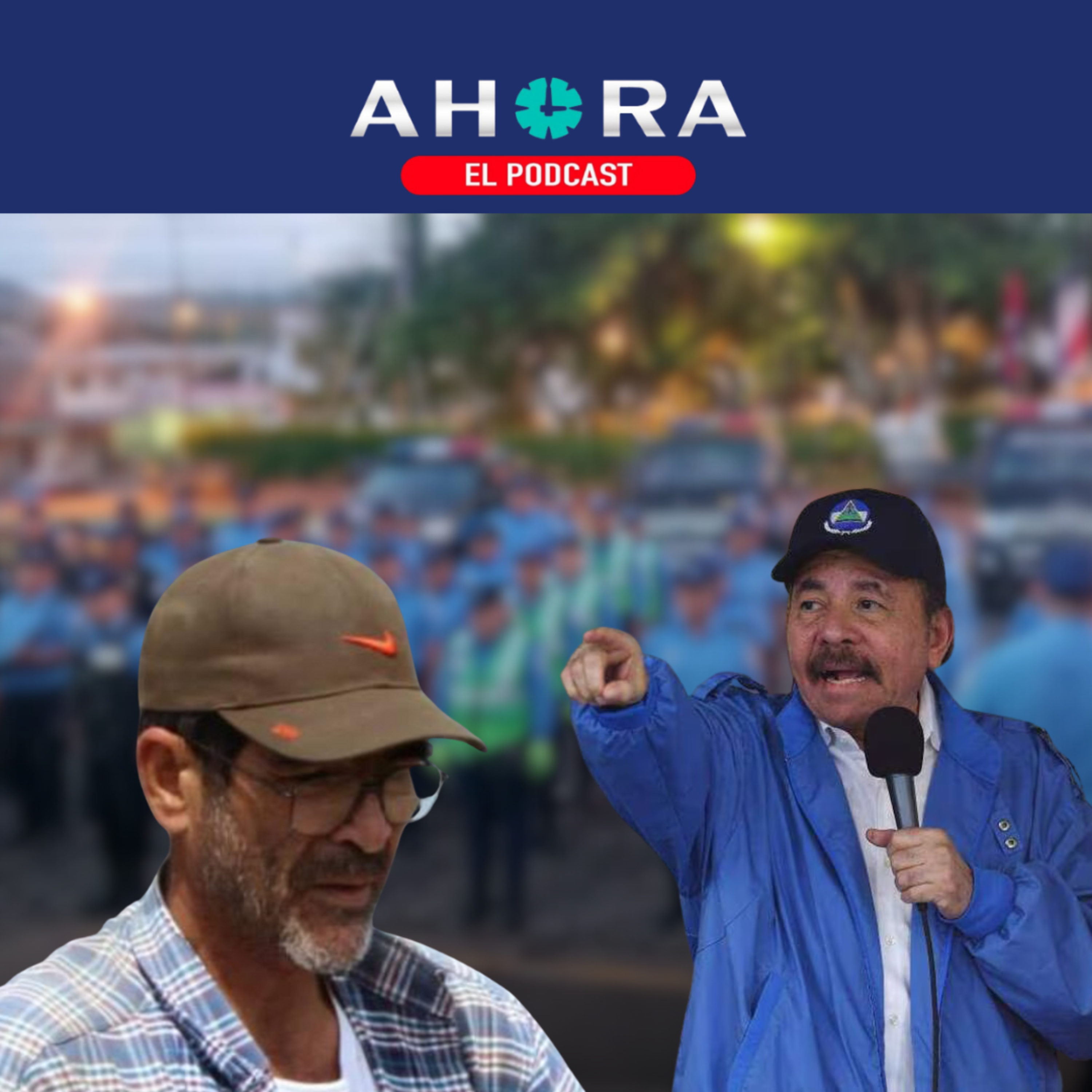 Artículo 66