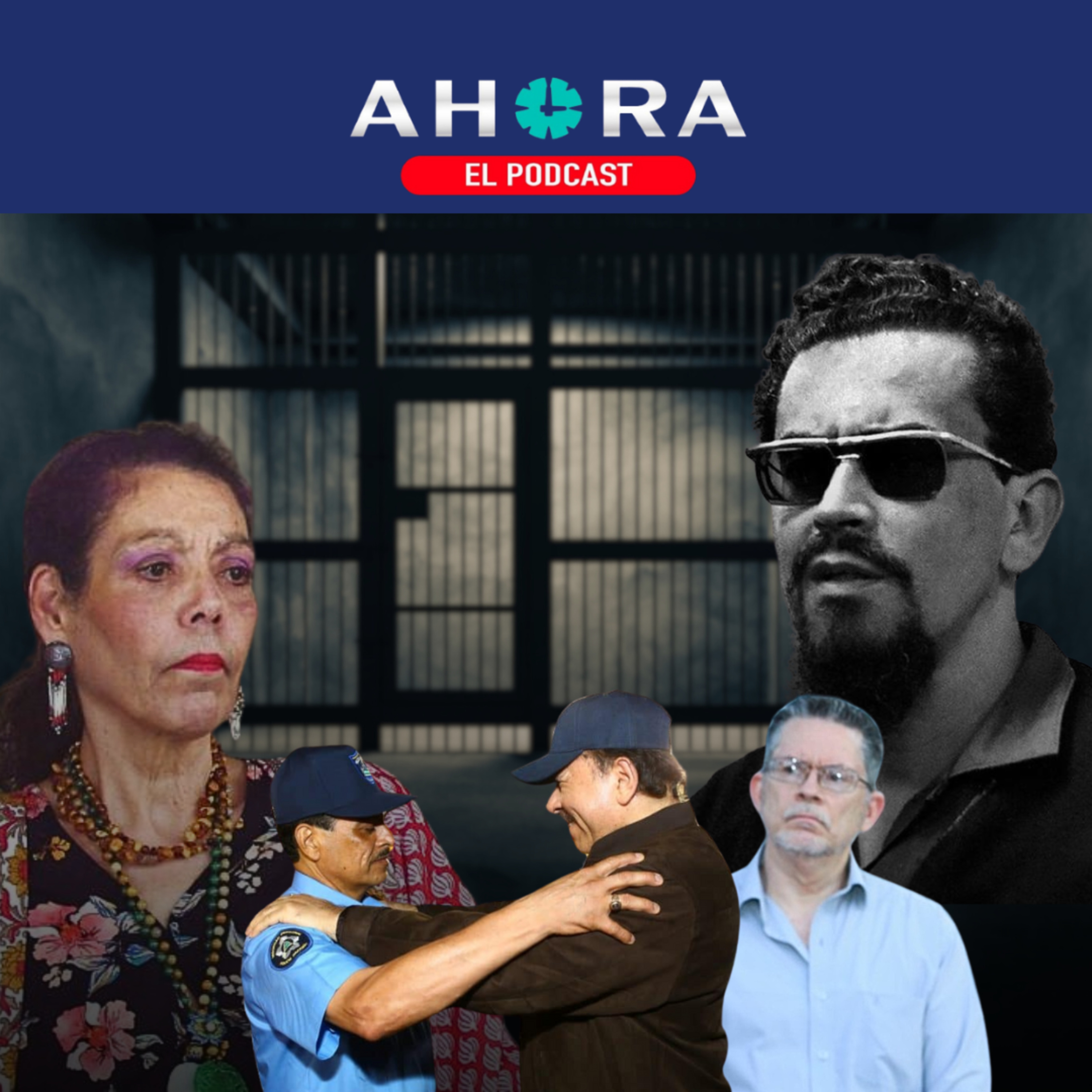 Artículo 66