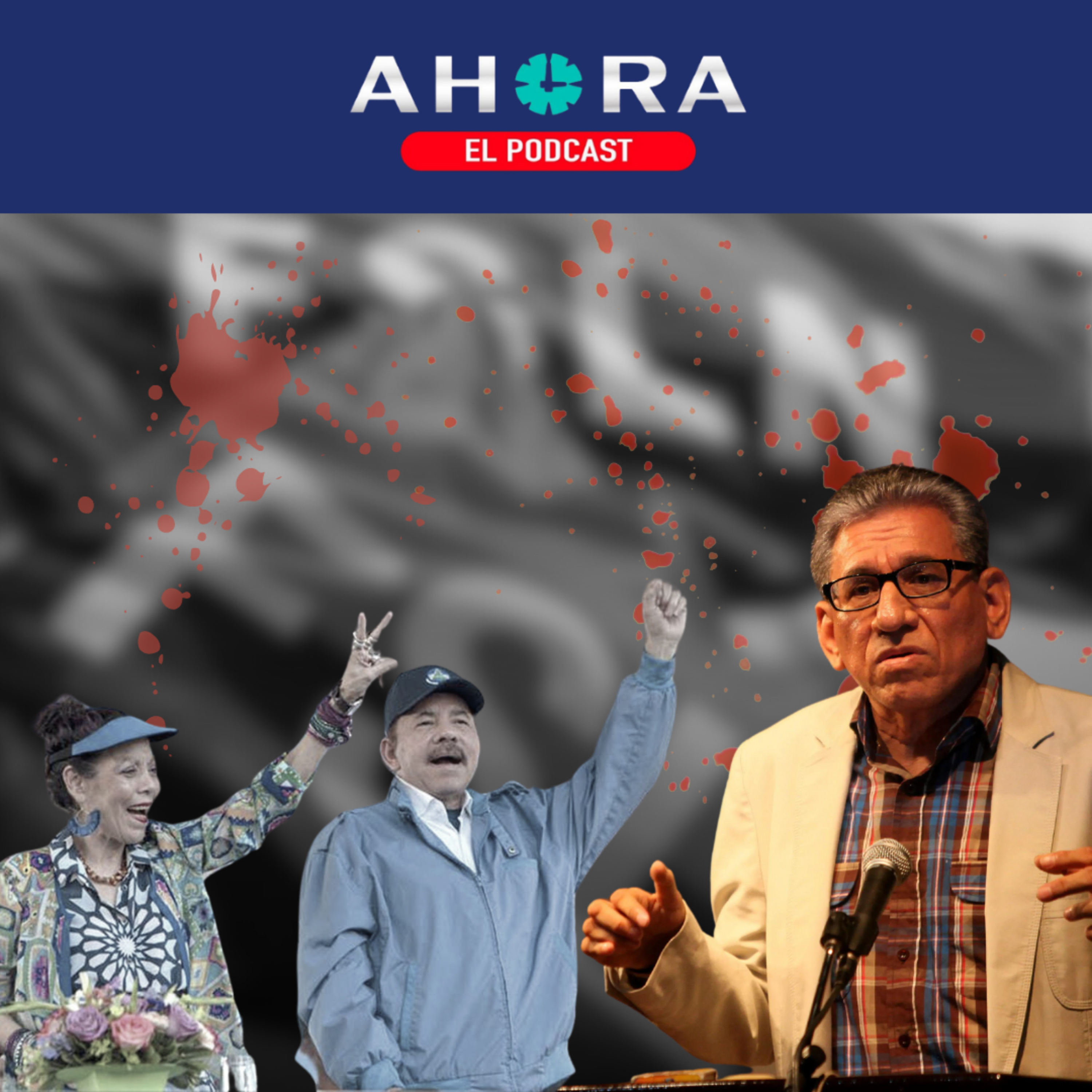 Artículo 66