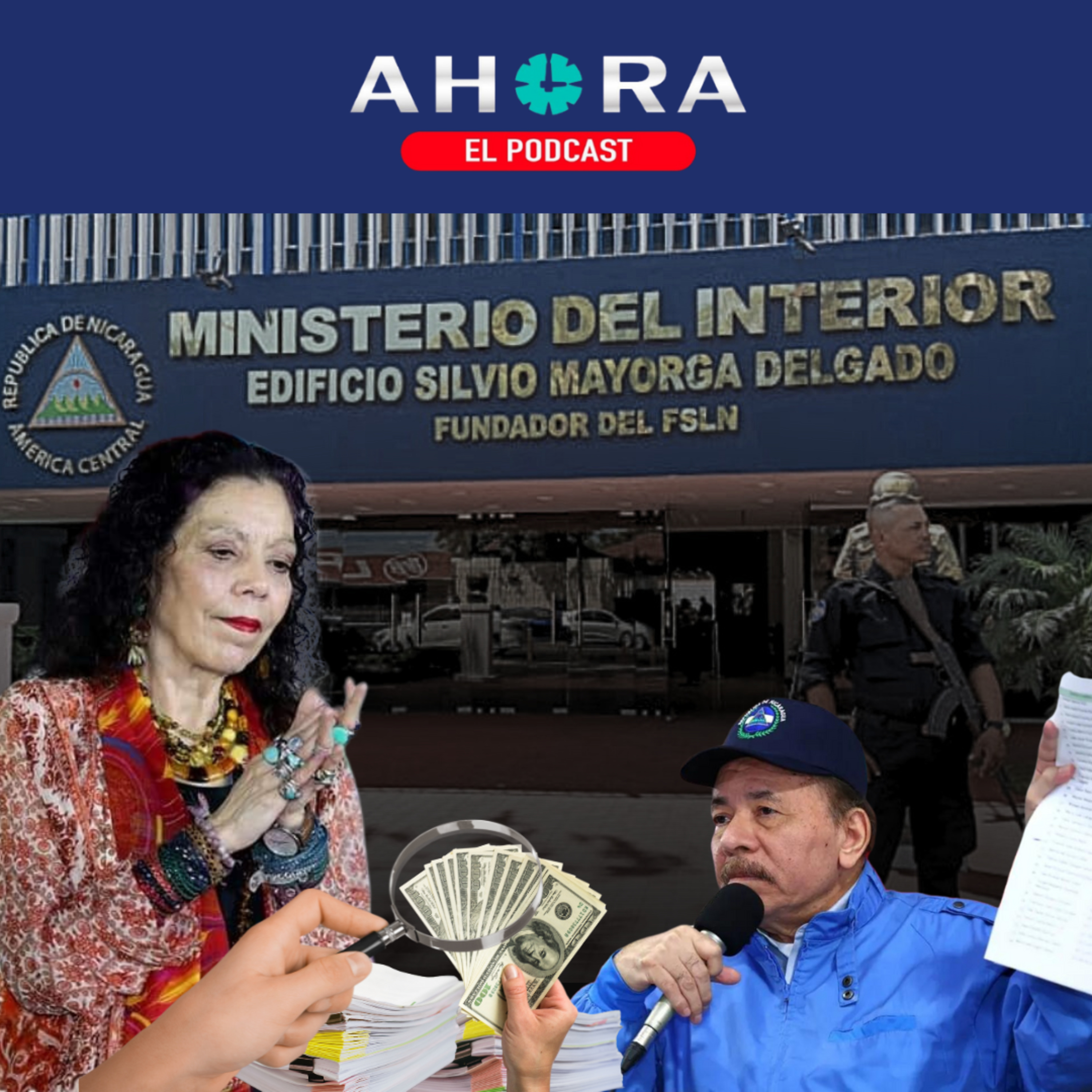 Artículo 66