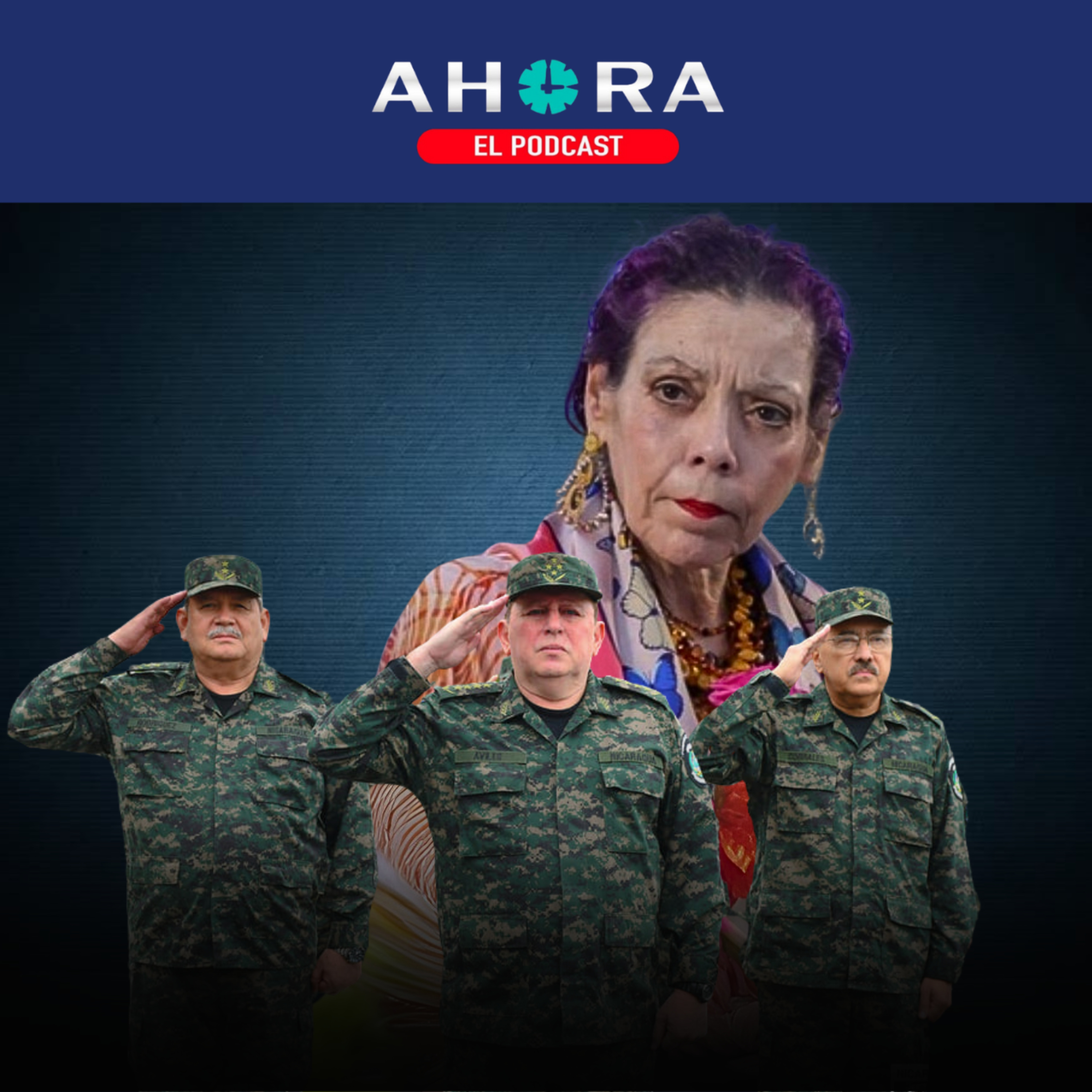 Artículo 66