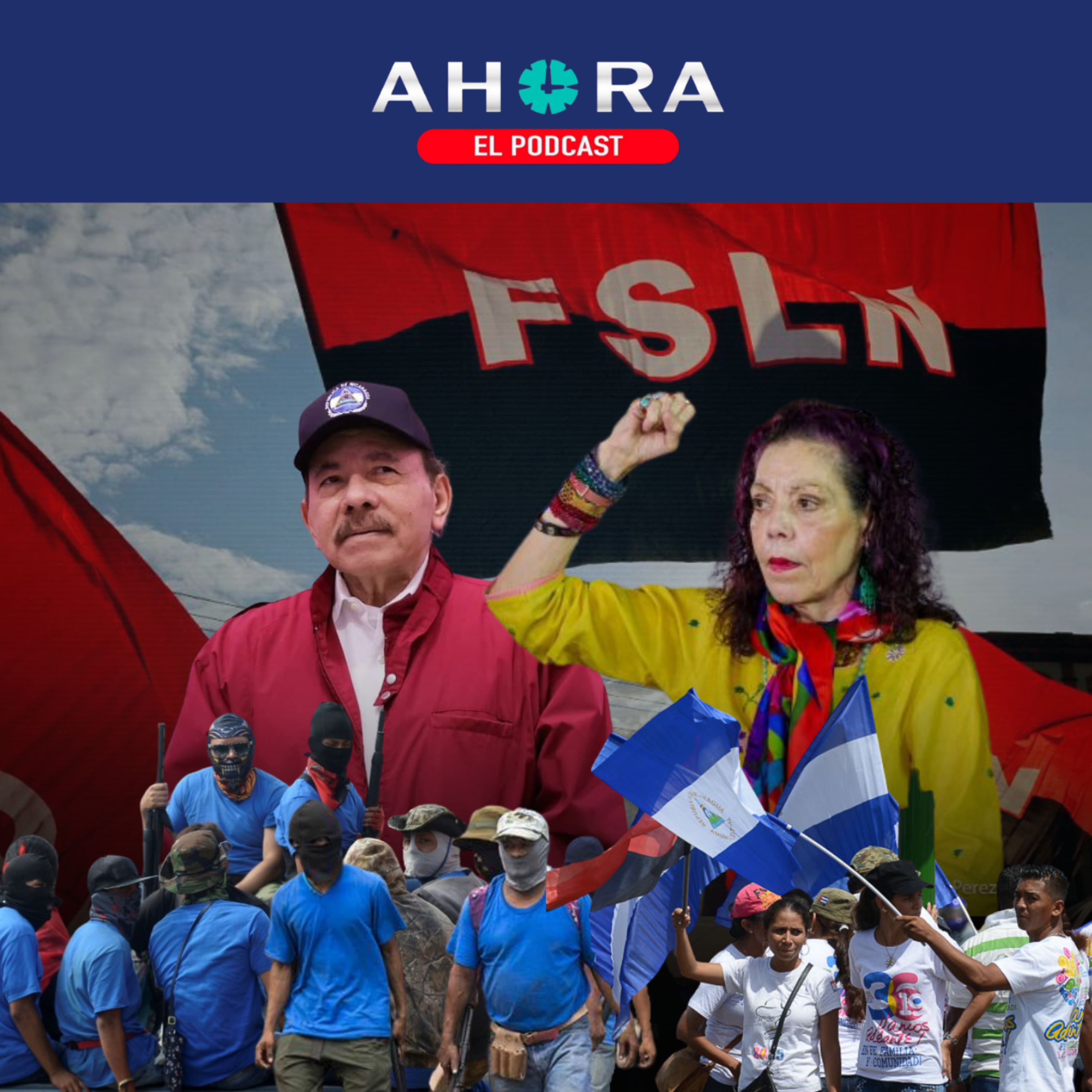 Artículo 66