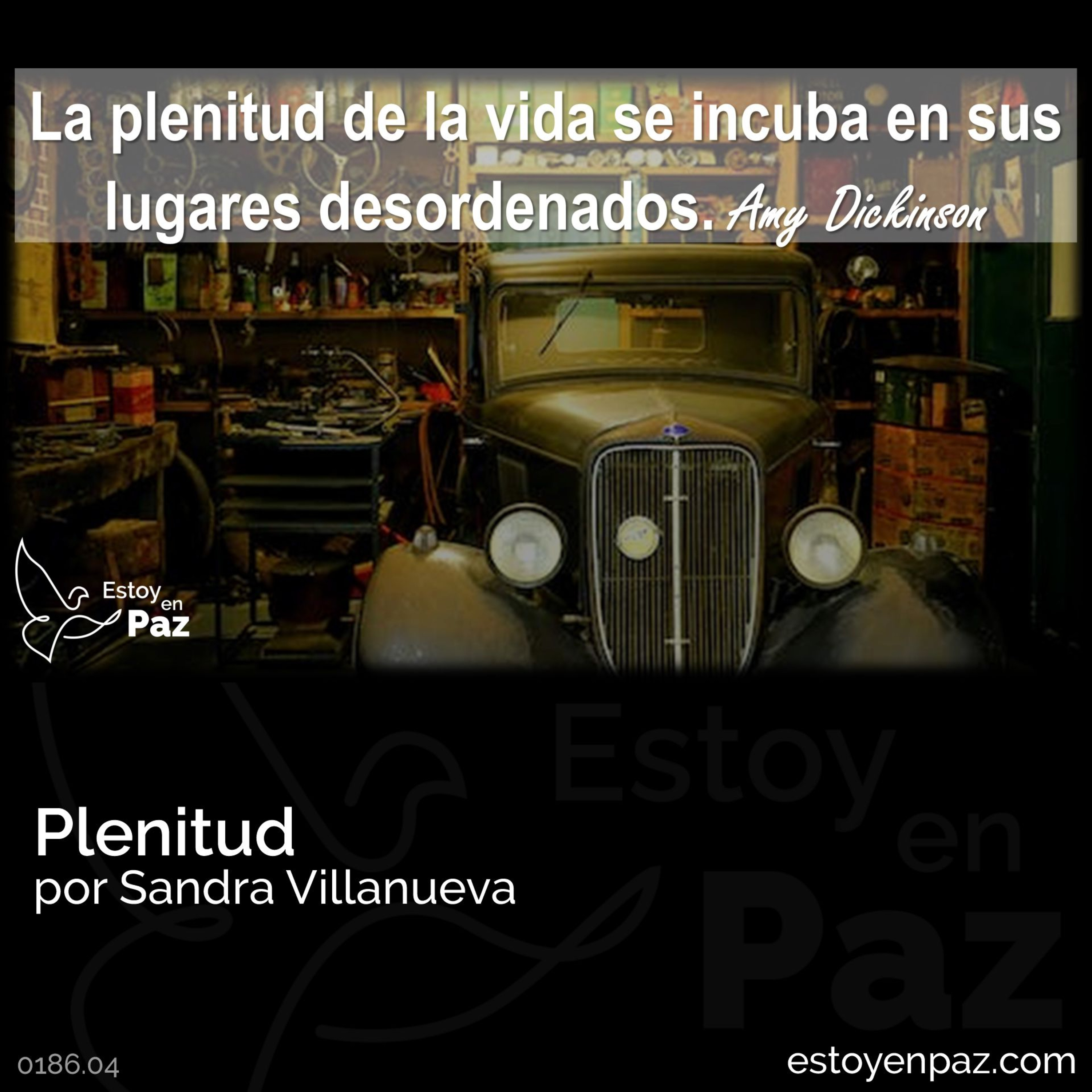 Plenitud episode artwork