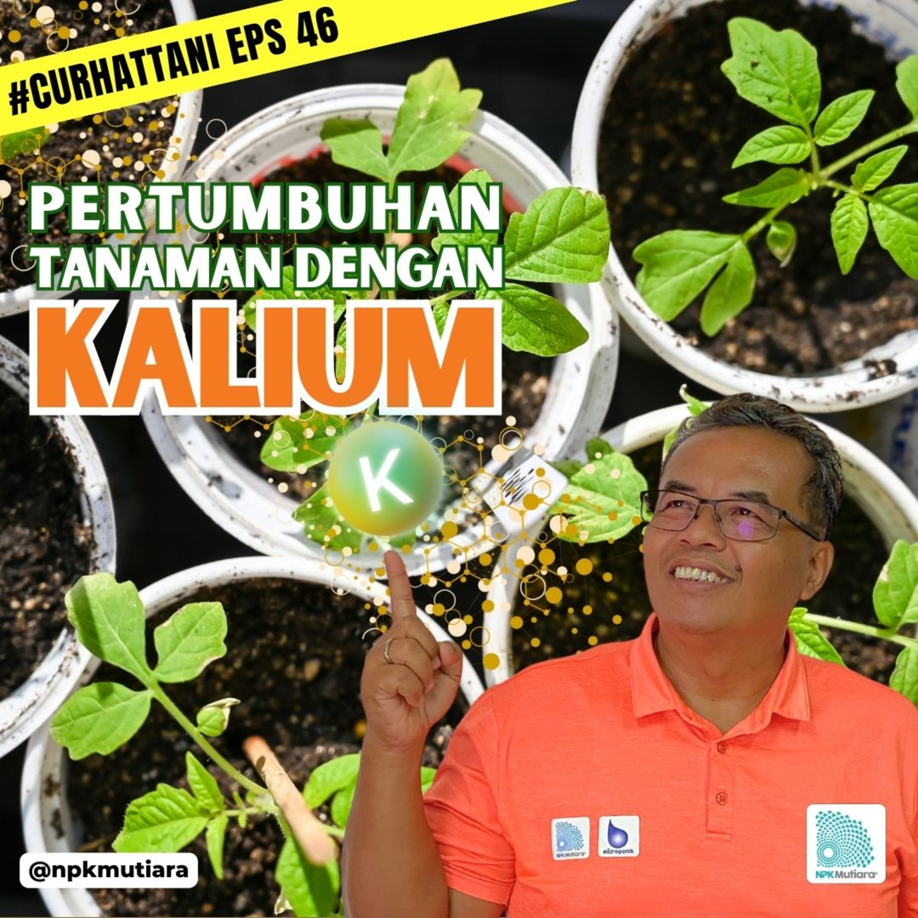 Petani Cerdas