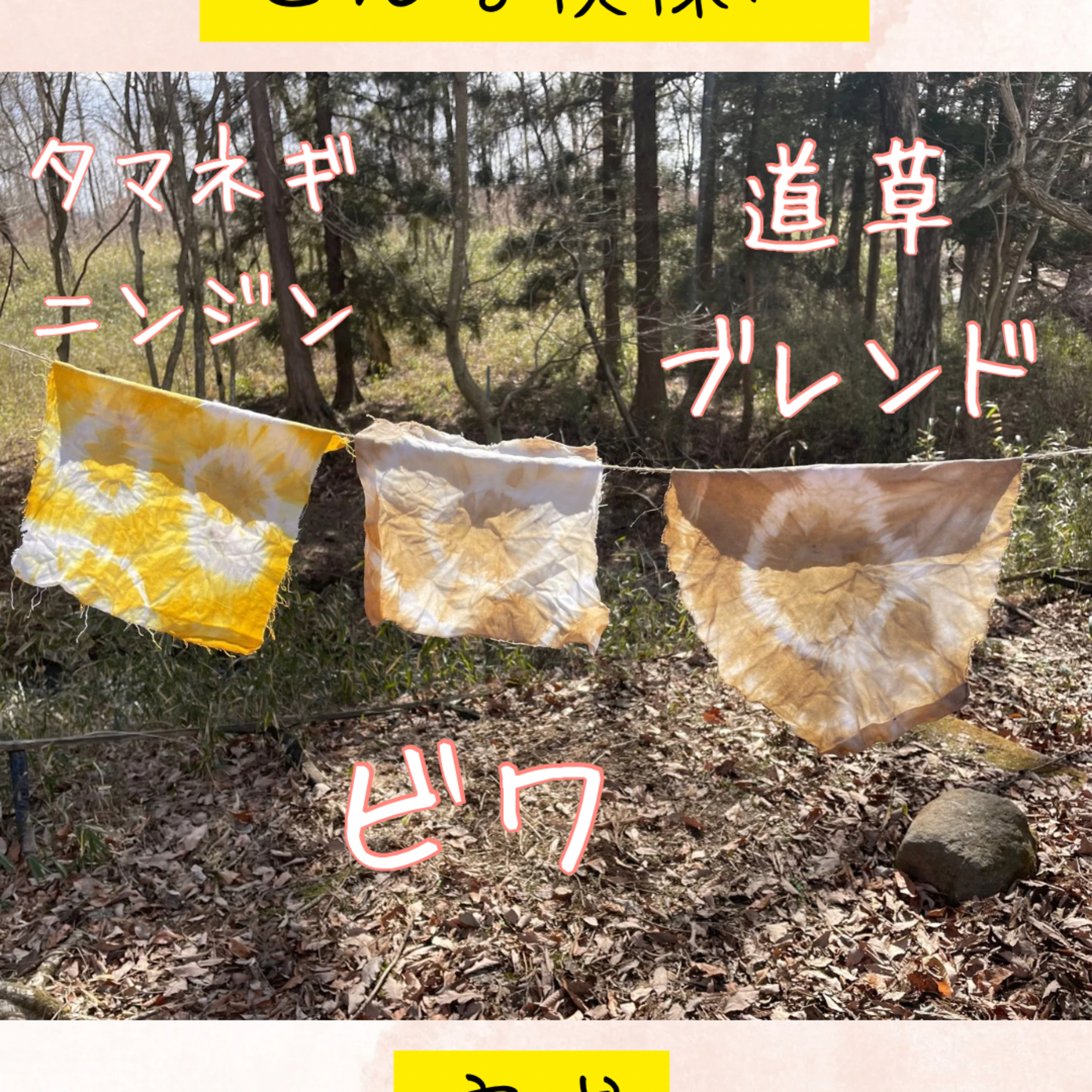 キャンプ場の落ち葉で染める！？アカネ染めと野生の実験！