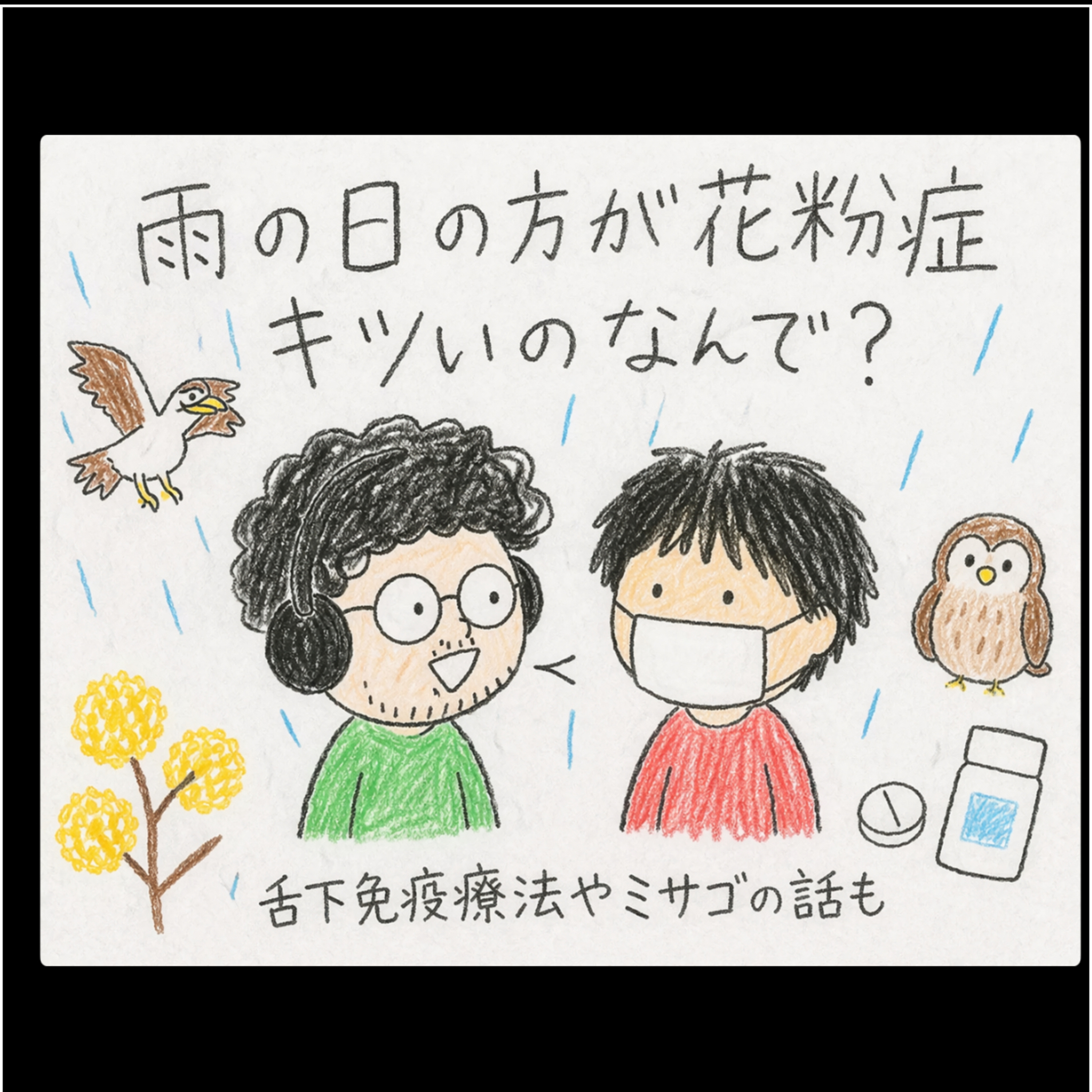 雨の日、むしろ危険？花粉症の意外な話/ミサゴとミツマタと舌下免疫療法、天変地異とはヘミングウェイにあり