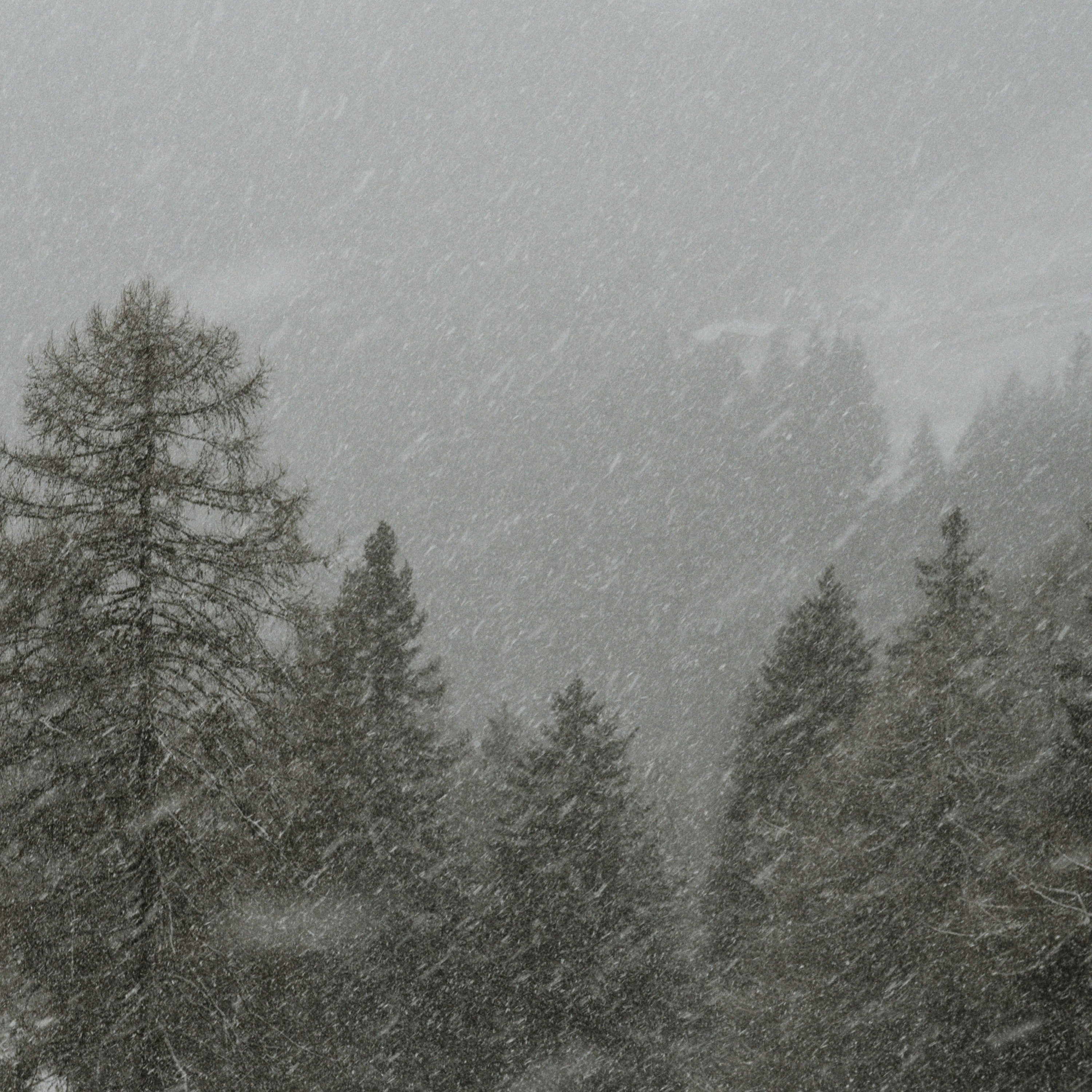Cold Storm Wind for Deep Sleep, Relaxation & Focus – Powerful Winter Wind Ambience 9 Hours episode artwork